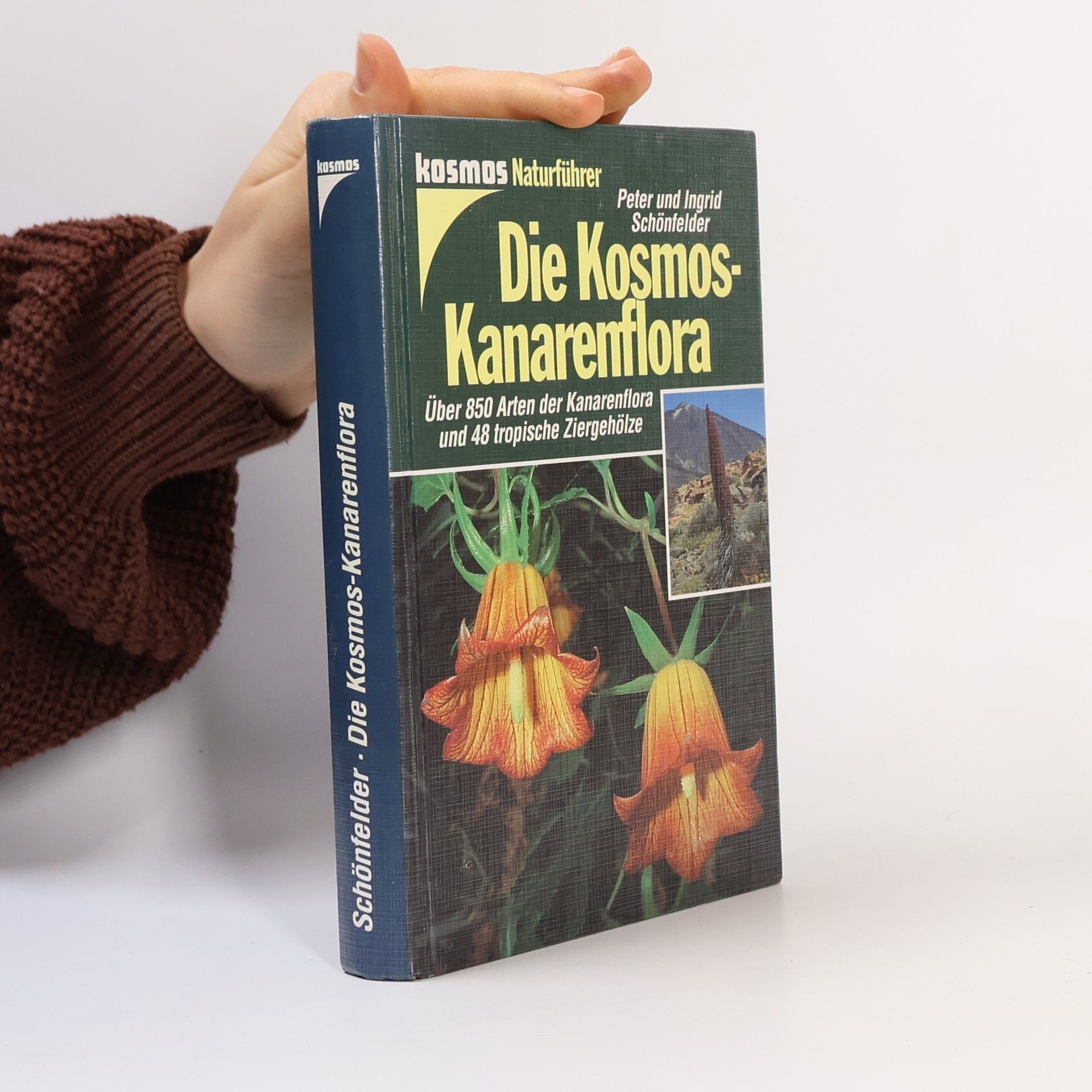 Peter Schönfelder Die Kosmos-Kanarenflora