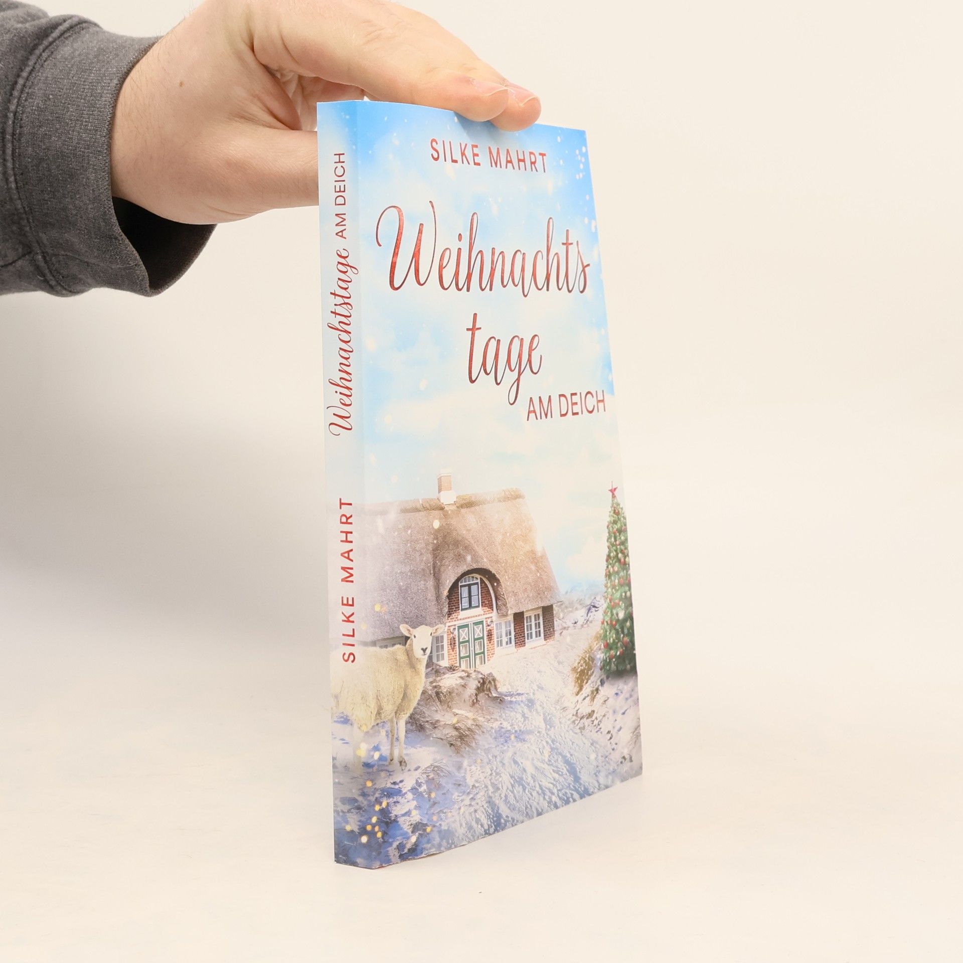 Silke Mahrt Weihnachtstage am Deich