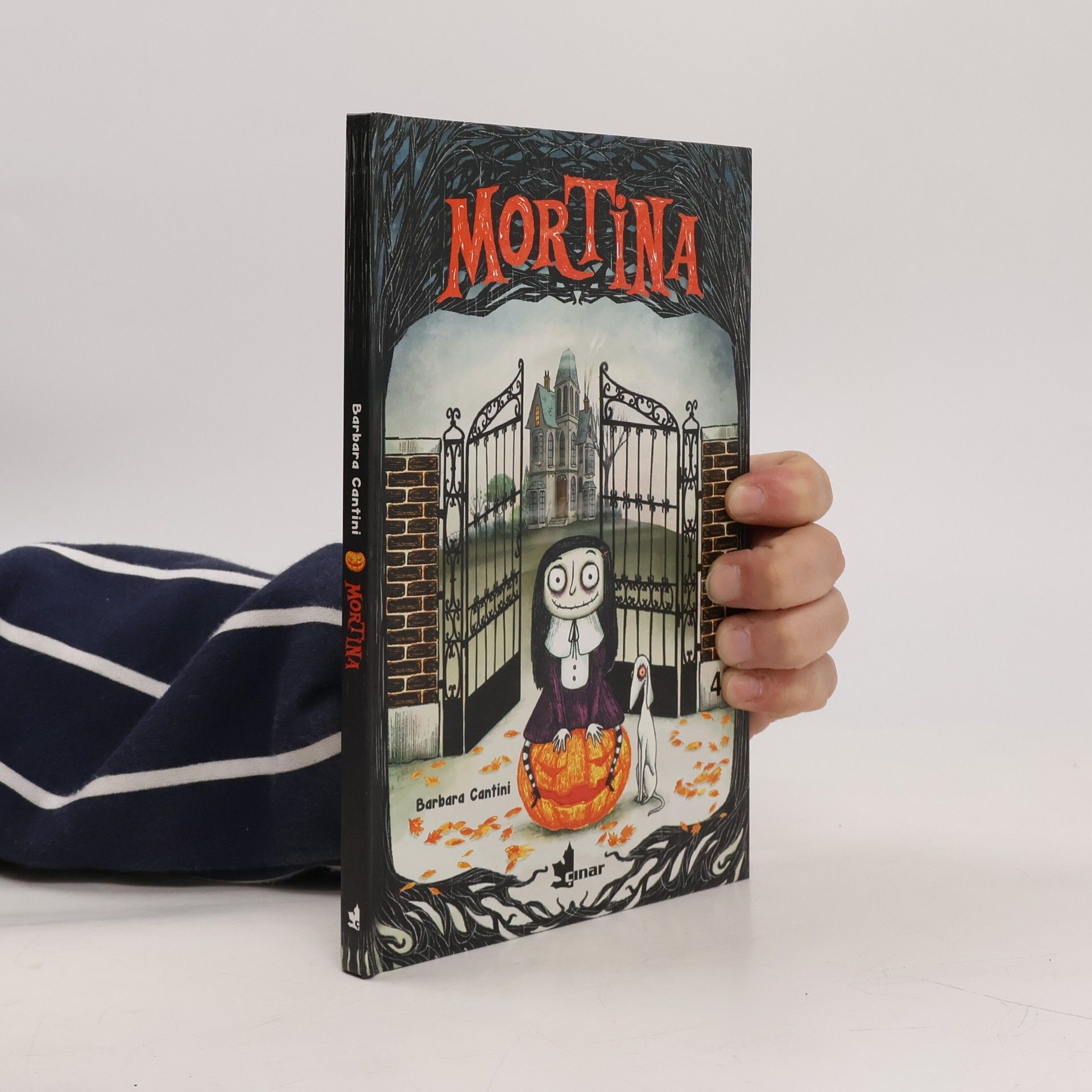 Barbara Cantini Mortina