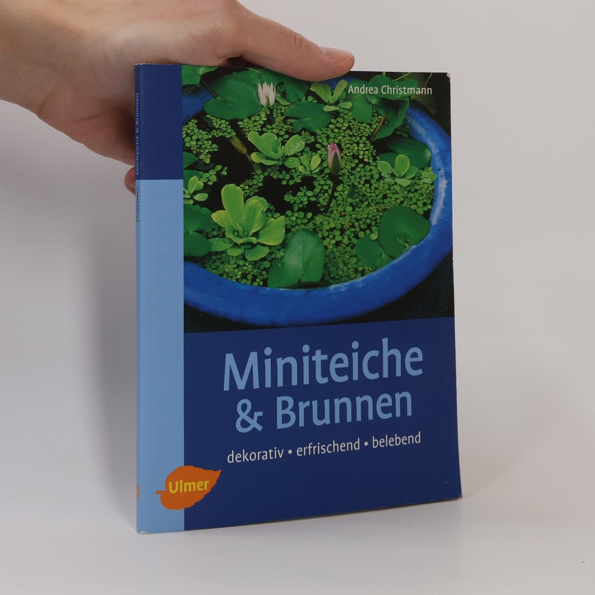 Andrea Christmann Miniteiche und Brunnen