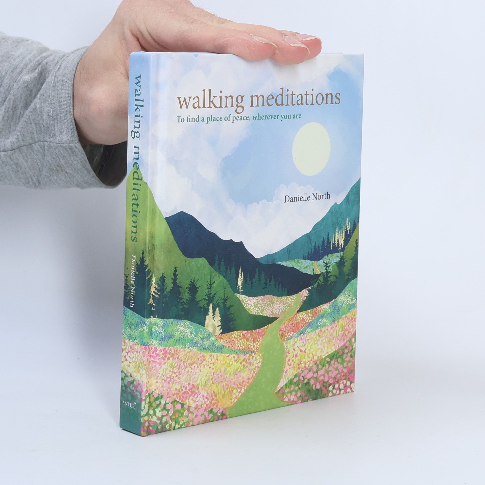 Walking Meditations