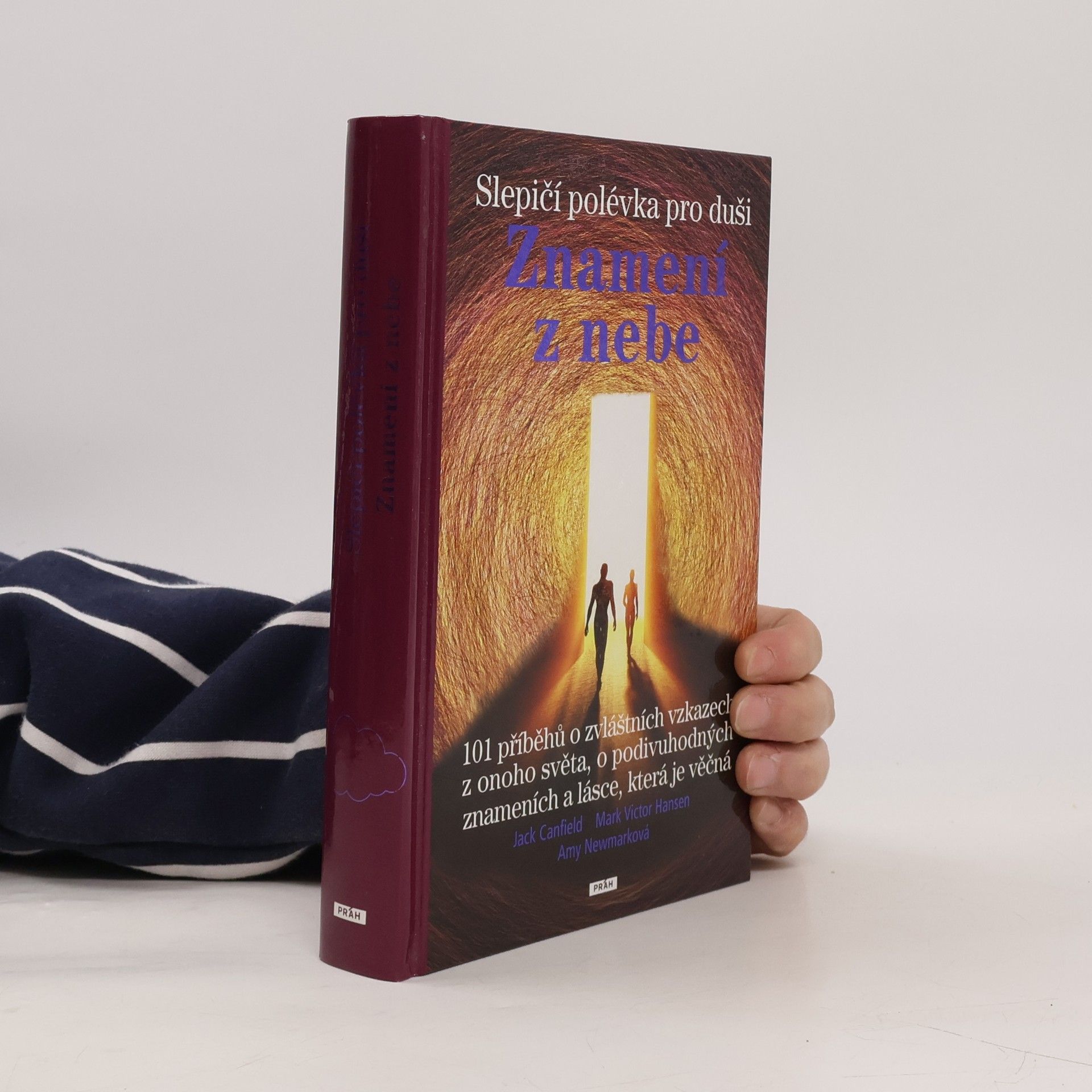 Jack Canfield Slepičí polévka pro duši