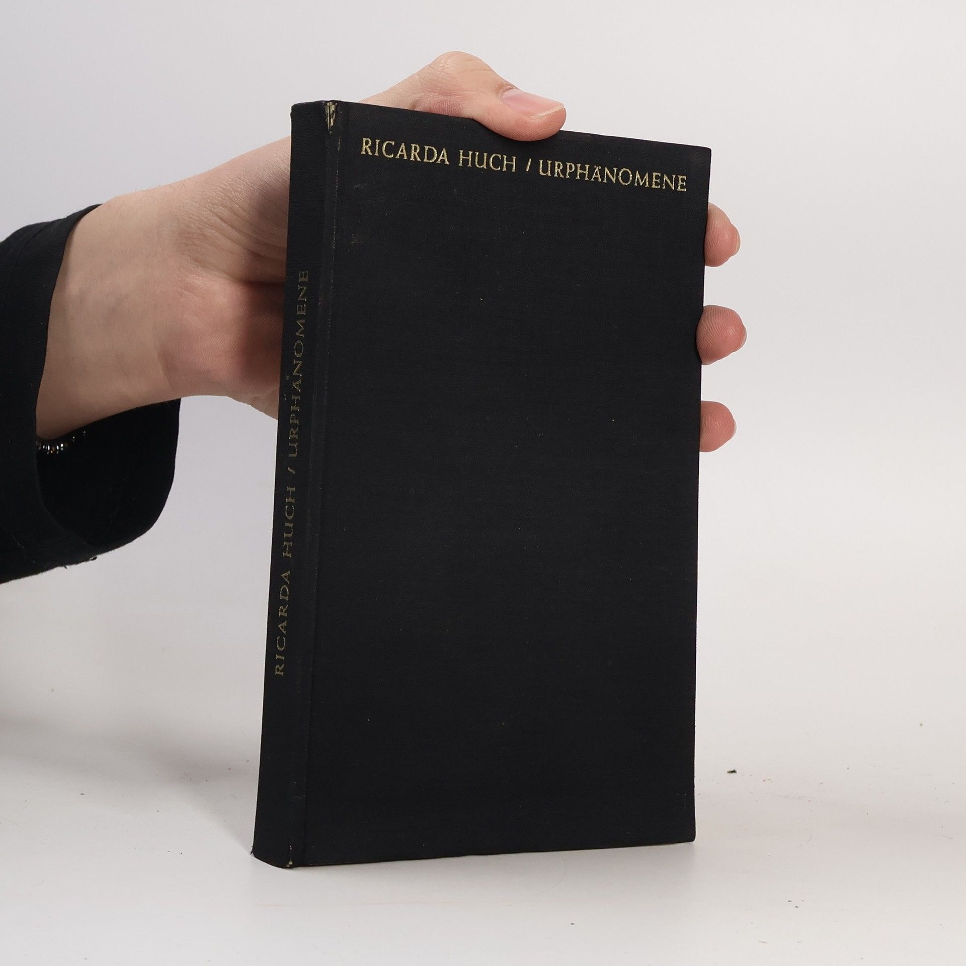 Ricarda Huch Urphänomene