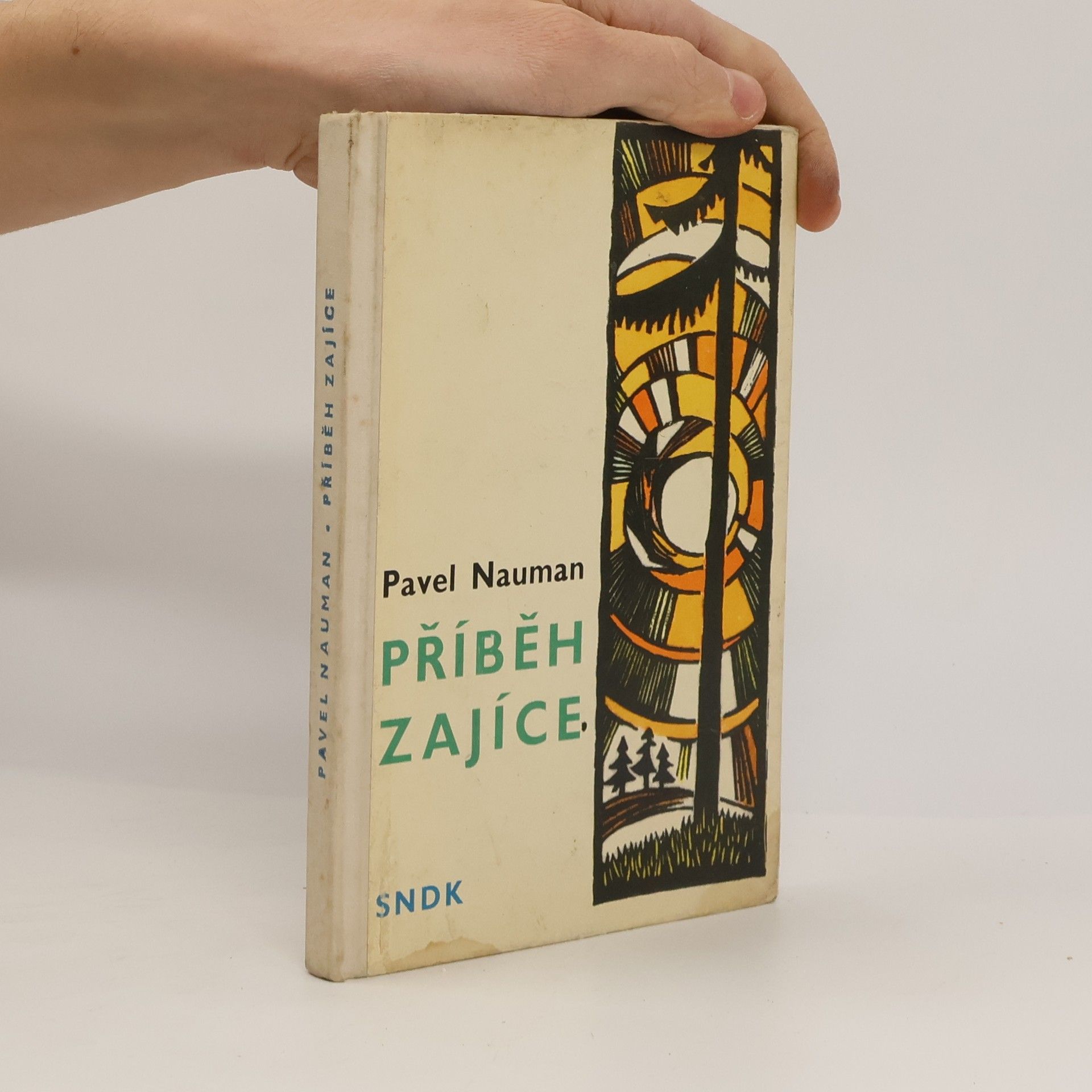 Pavel Nauman Příběh zajíce