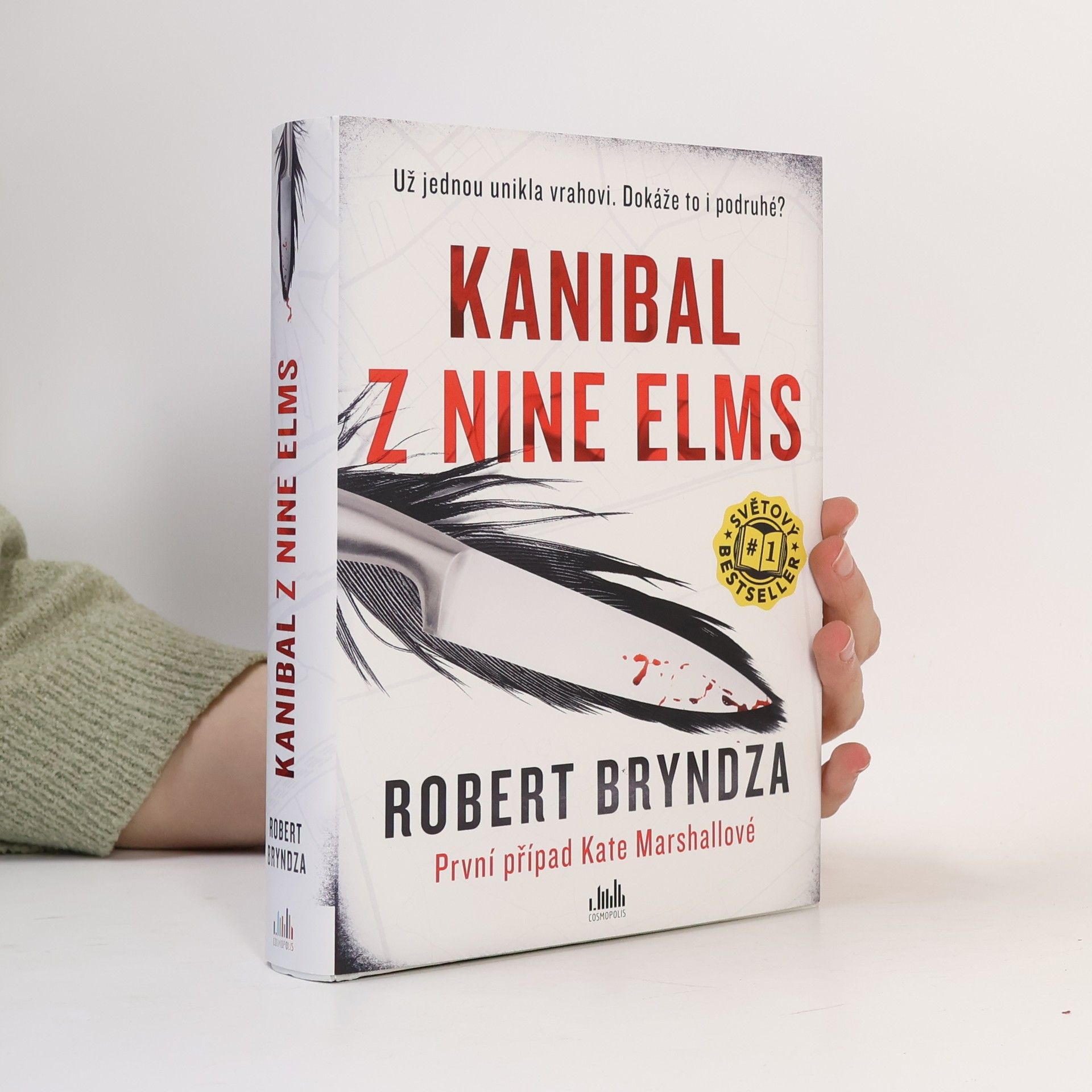 Robert Bryndza Kanibal z Nine Elms