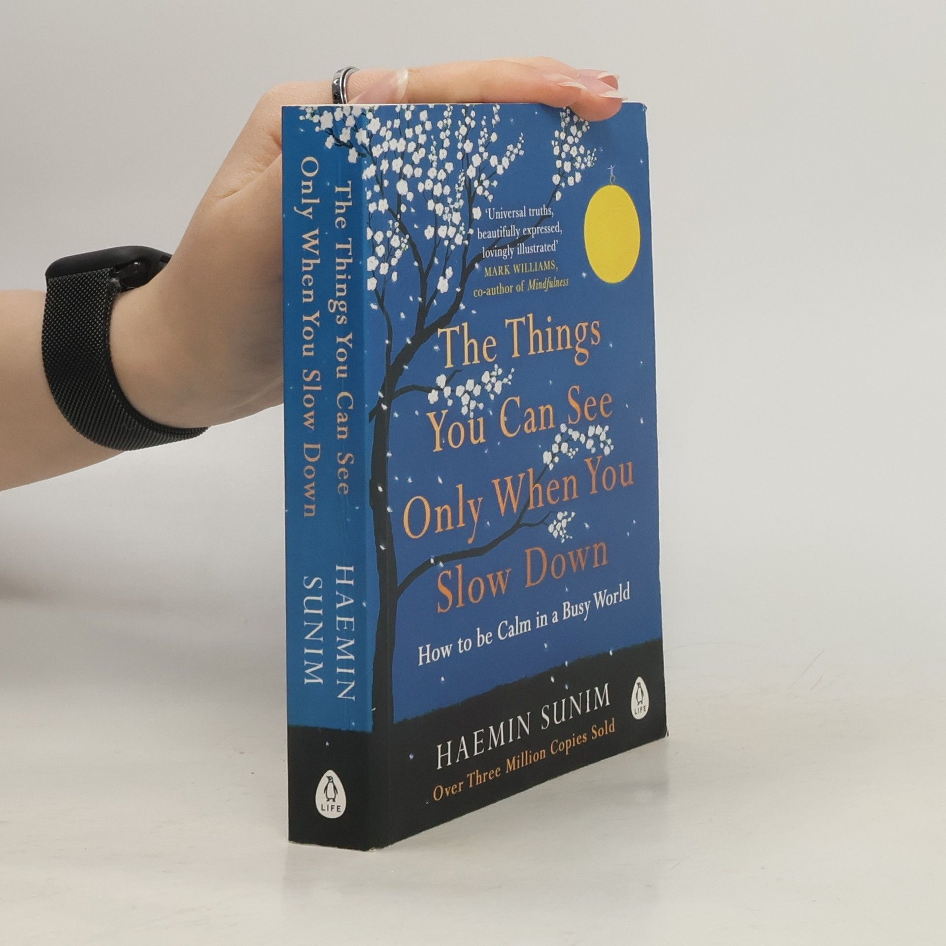 Sunim Haemin The Things You Can See Only When You Slow Down