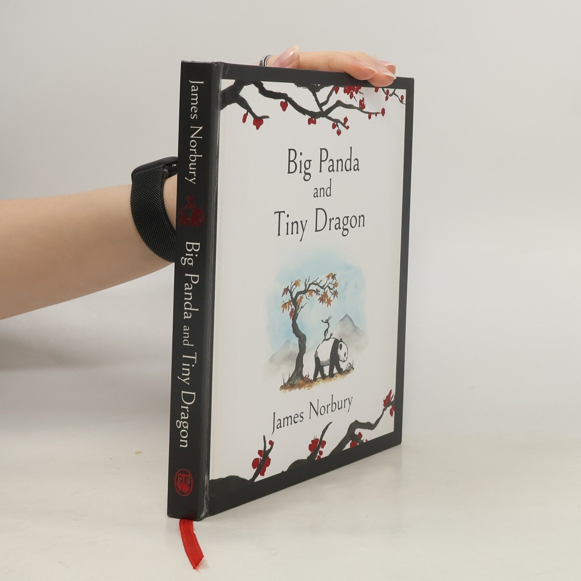 Big Panda and Tiny Dragon