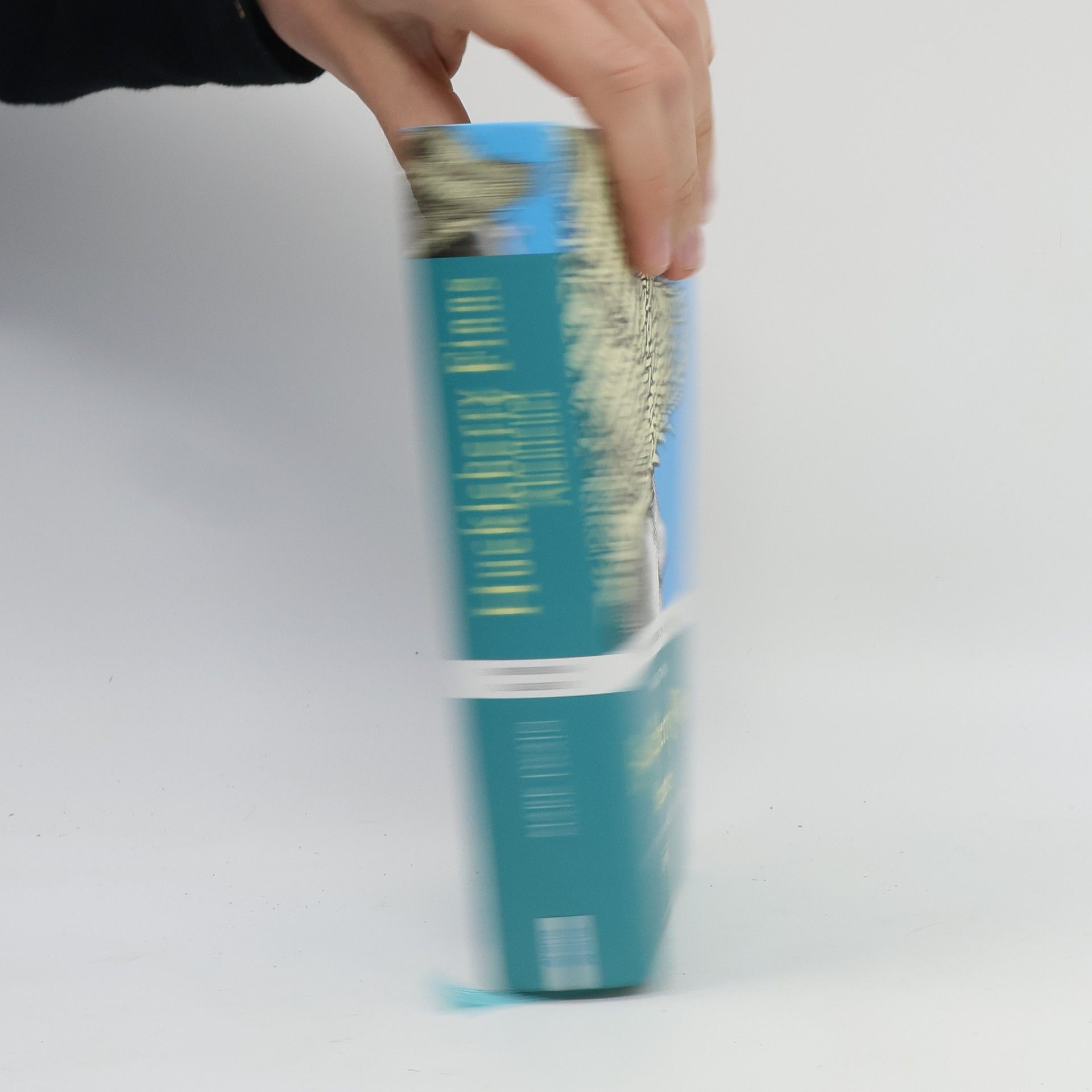 Mark Twain Huckleberry Finns Abenteuer