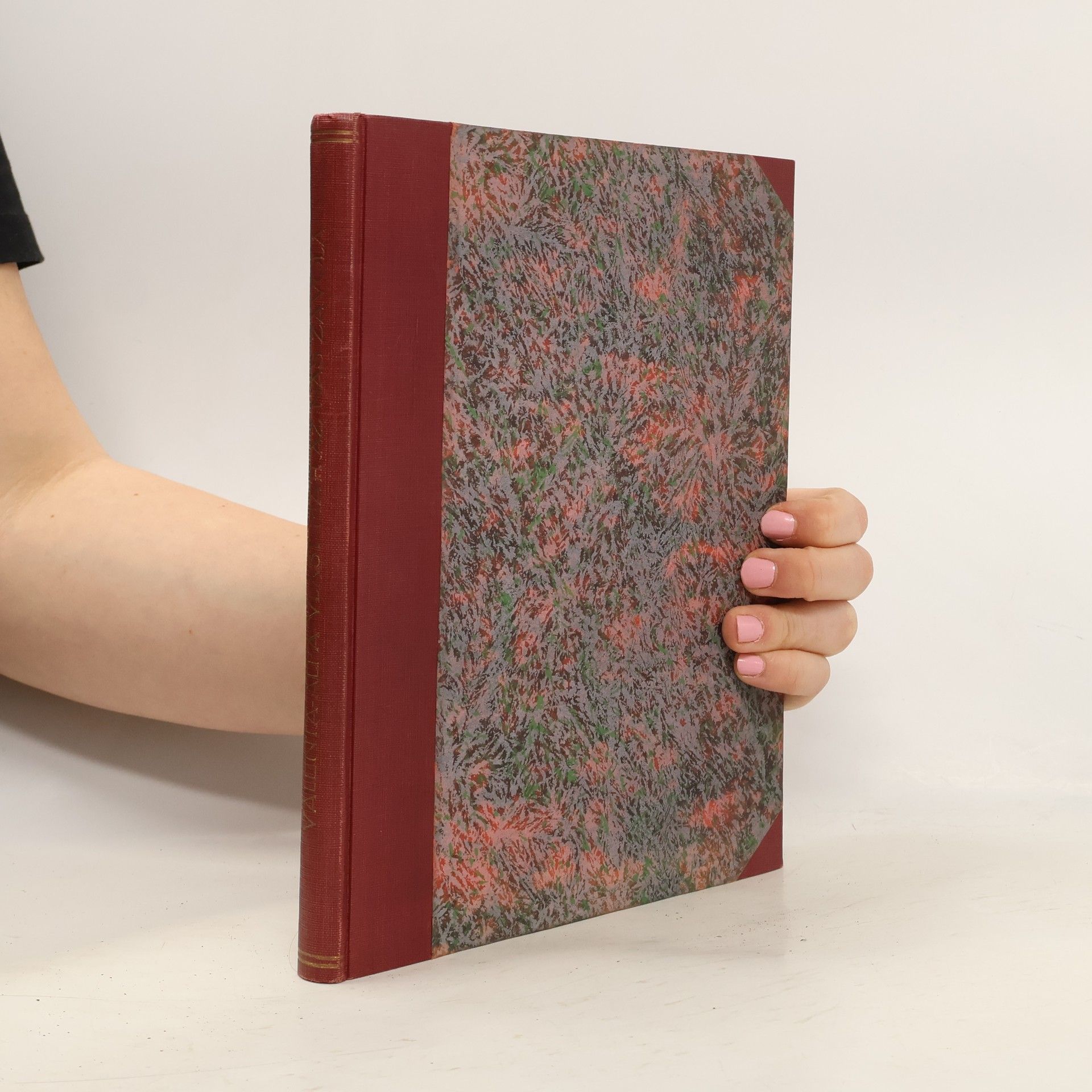 Václav Valenta-Alfa Vlast máti až nás zavolá... Jak žili, bojovali a umírali Sokolové-legionáři