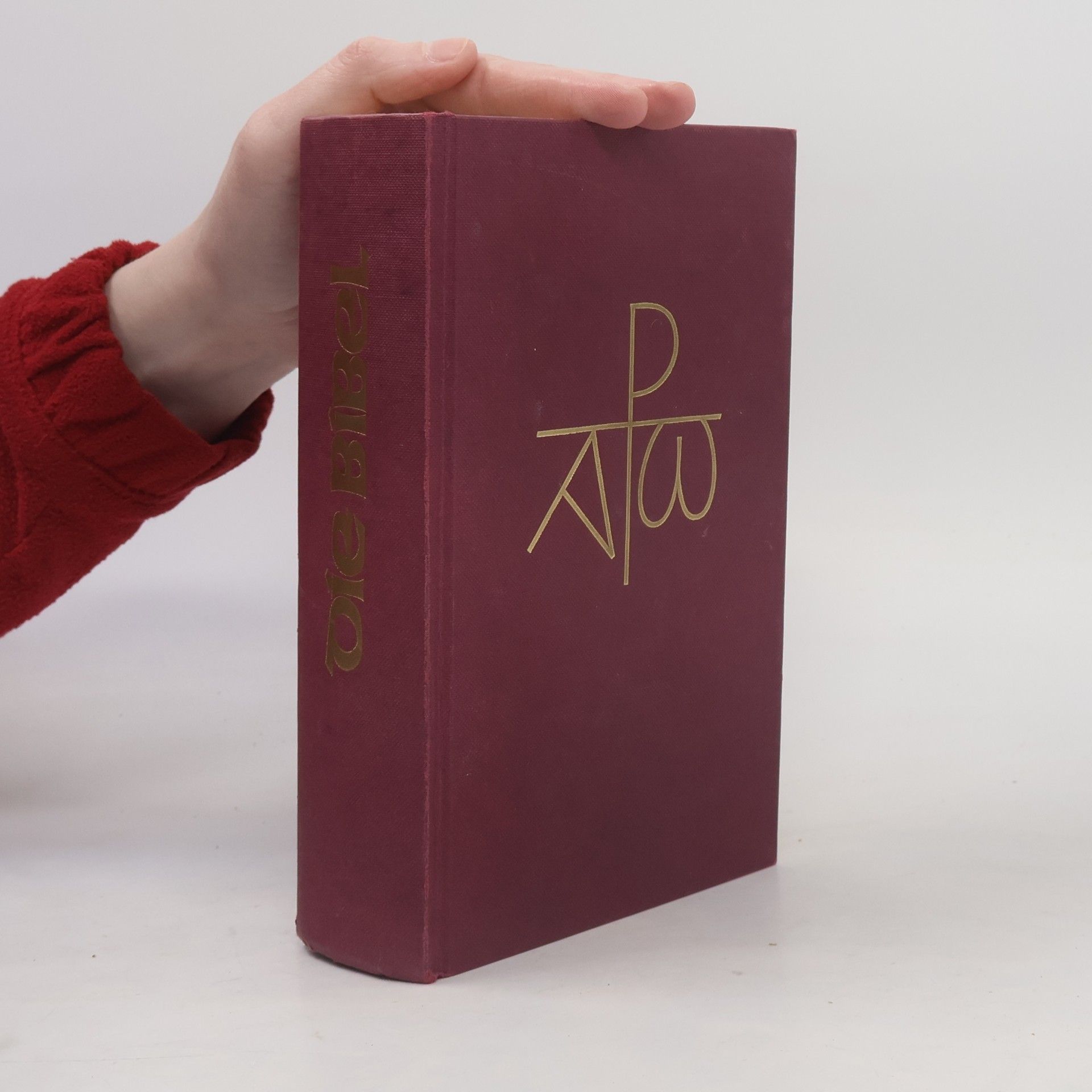 Collectif d'auteurs Chronik der Familie