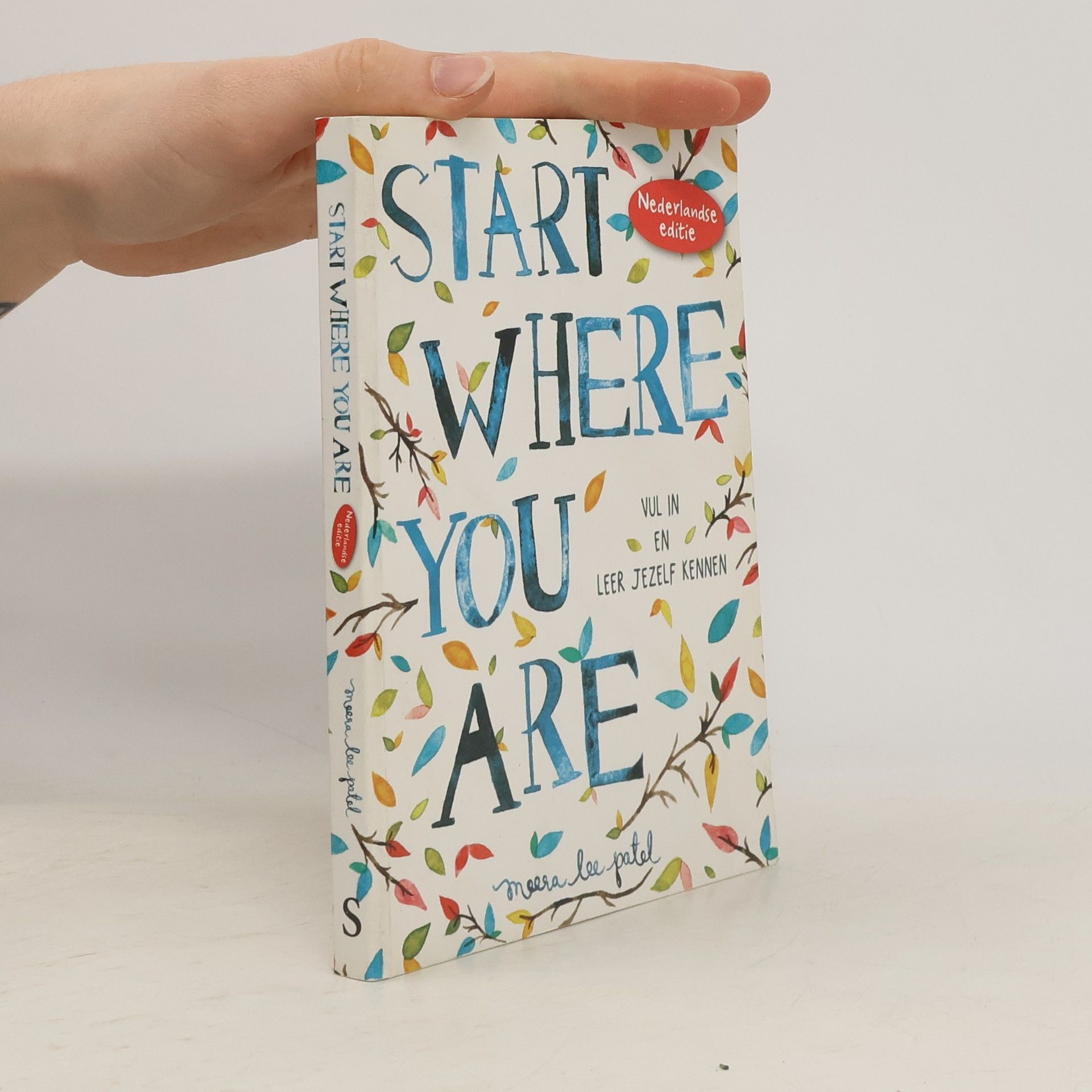 Meera Lee Patel Start Where You Are