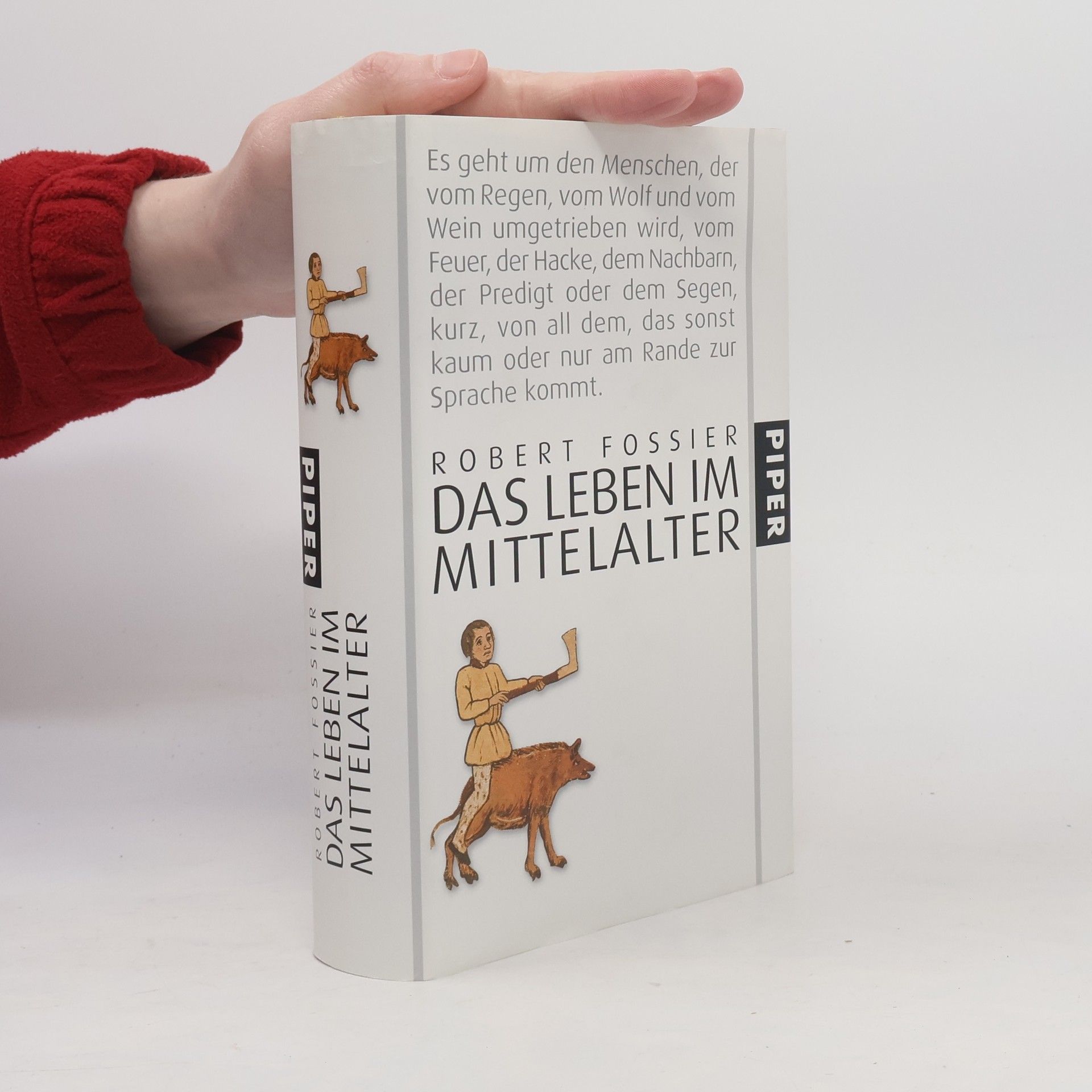 Robert Fossier Das Leben im Mittelalter