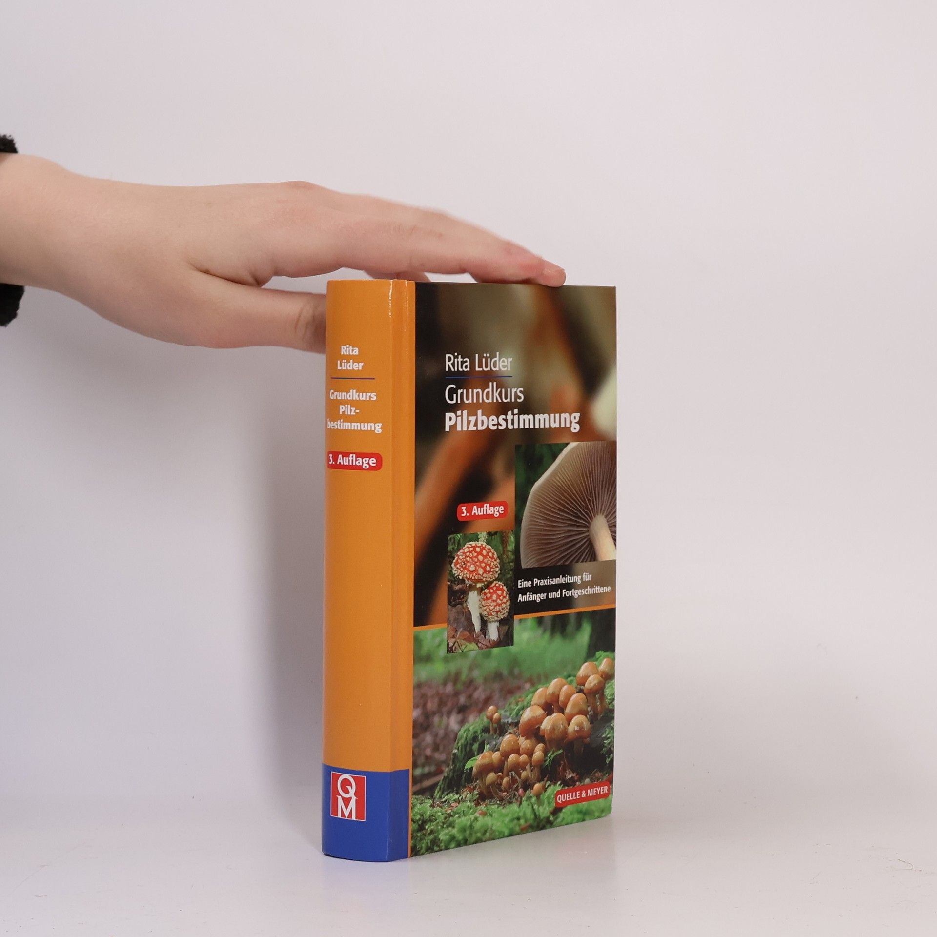 Rita Lüder Grundkurs Pilzbestimmung