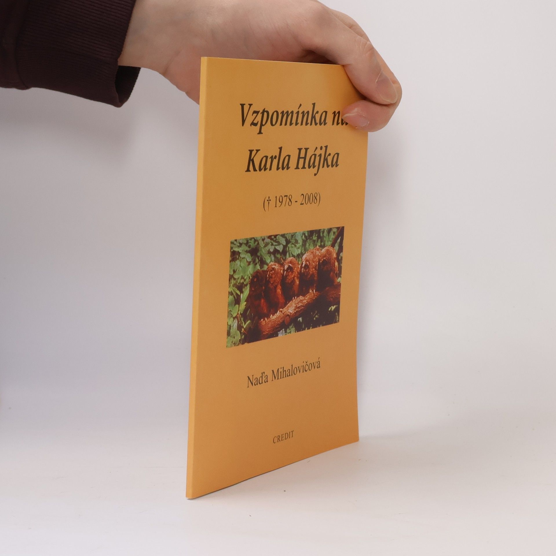 Naďa Mihalovičová Vzpomínka na Karla Hájka