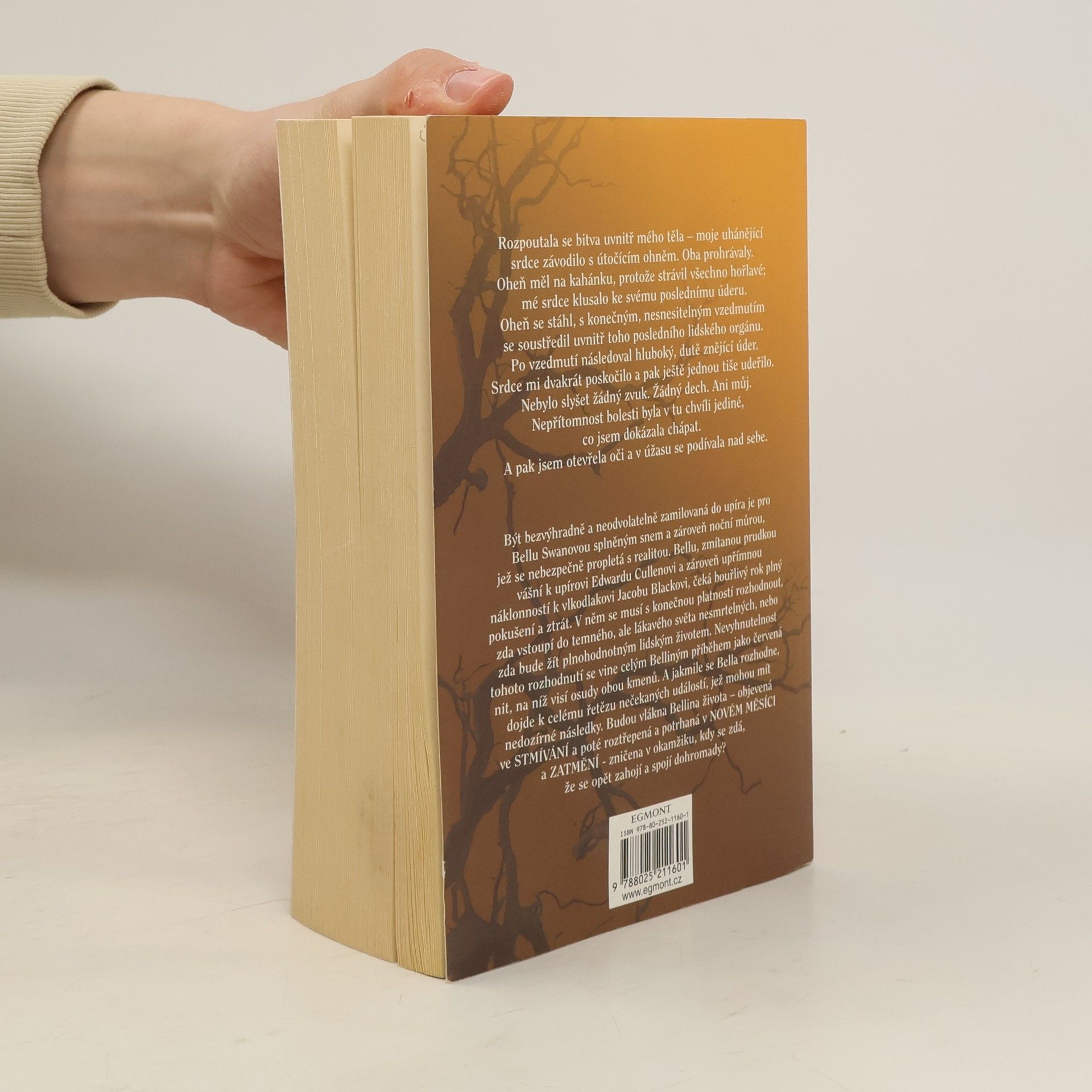Stephenie Meyer Rozbřesk