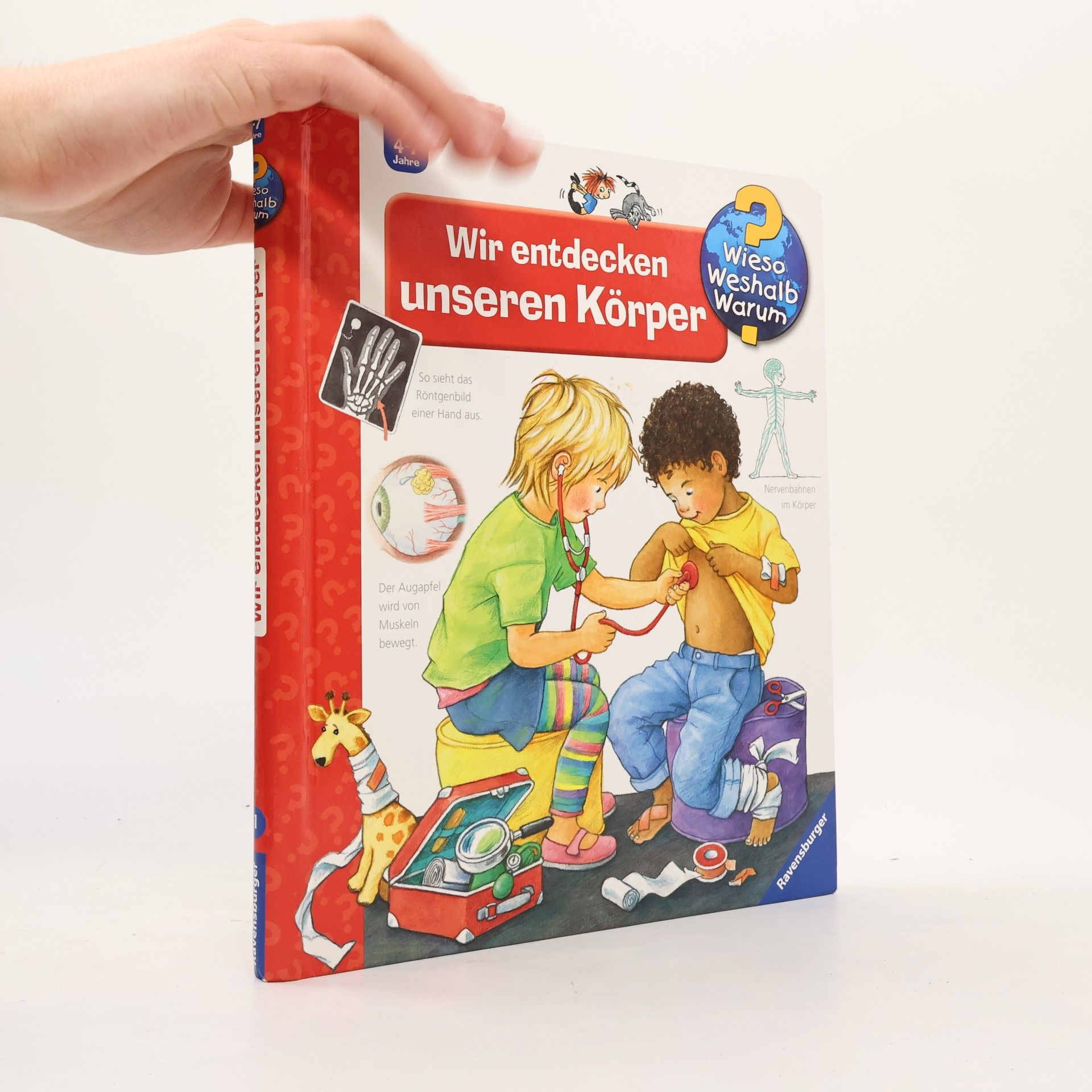 Doris Rübel Wir entdecken unseren Körper