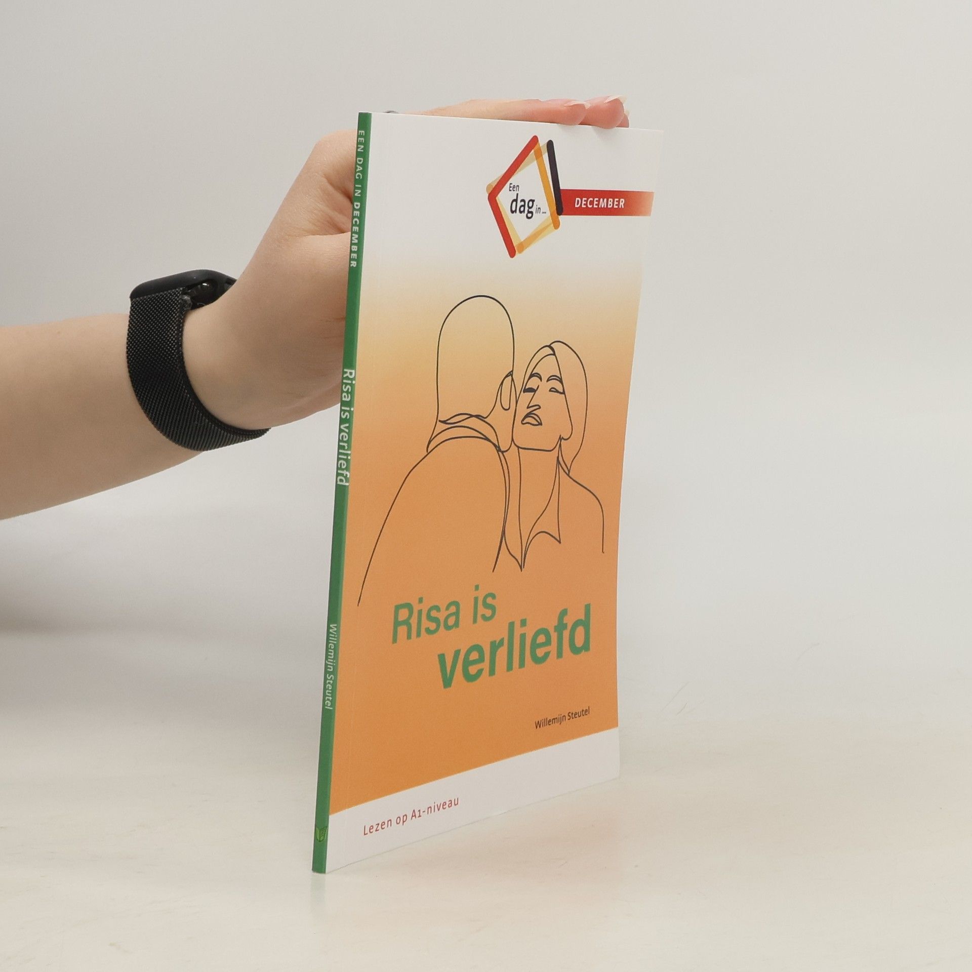 Willemijn Steutel Een dag in December: Risa is verliefd - Lezen op A1-niveau