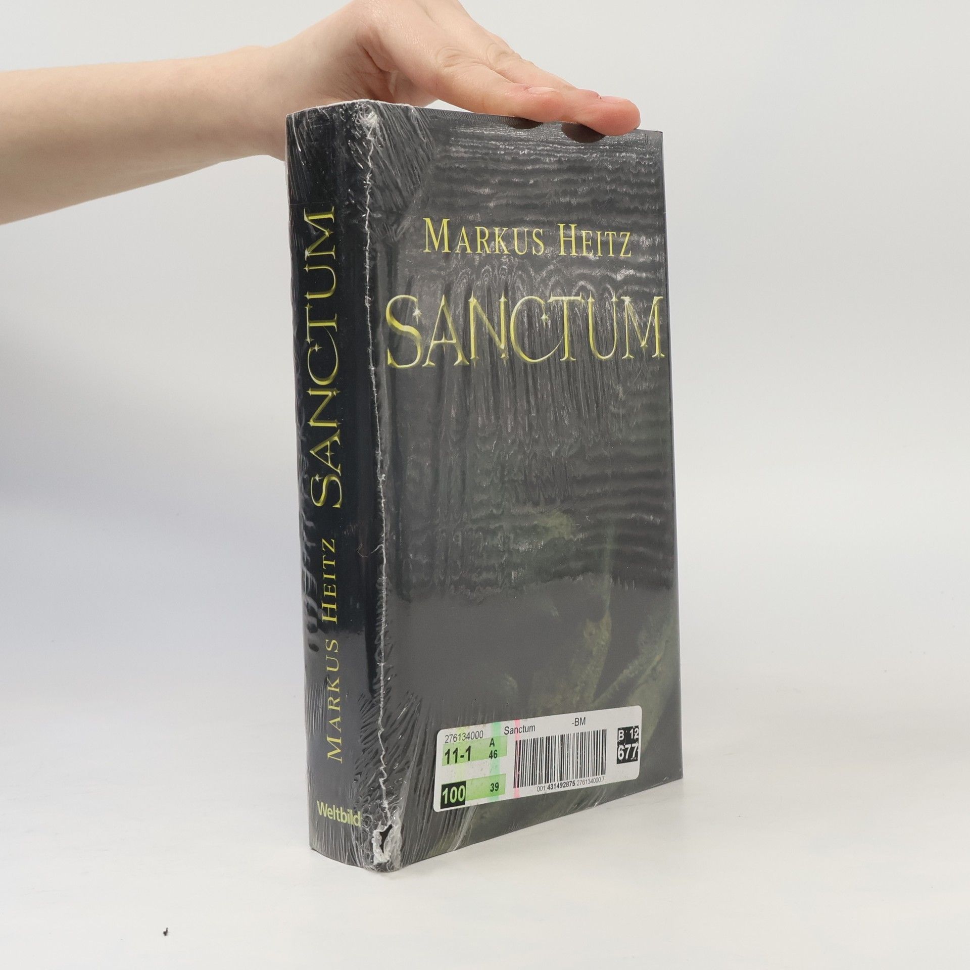 Markus Heitz Sanctum