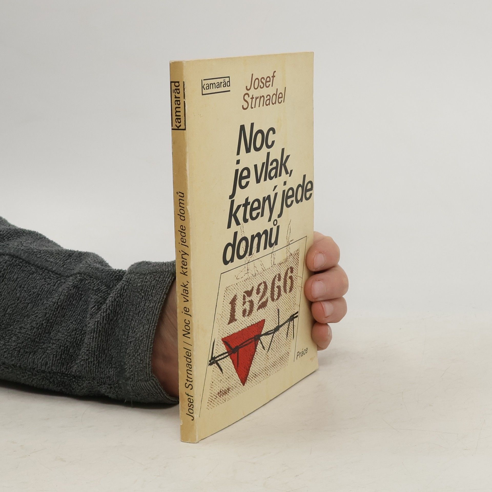 Josef Strnadel Noc je vlak, který jede domů