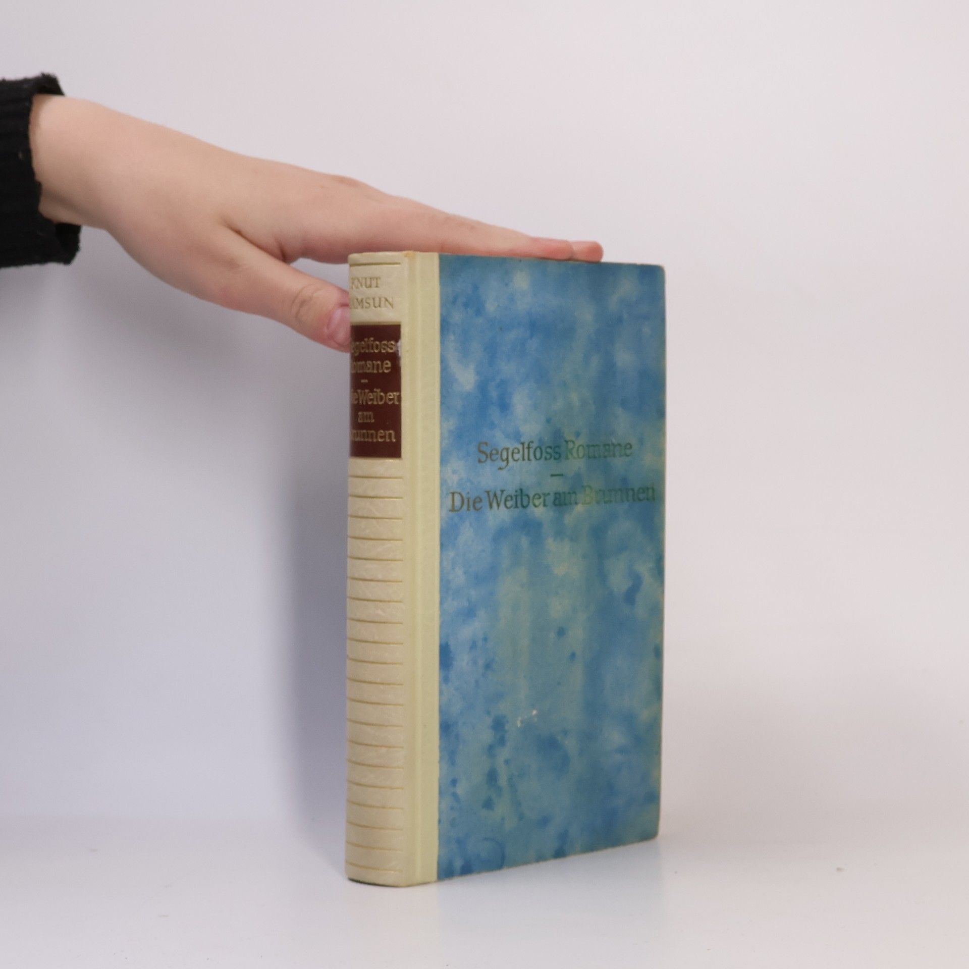 Knut Hamsun Segelfoss Romane. Die Weiber am Brunnen