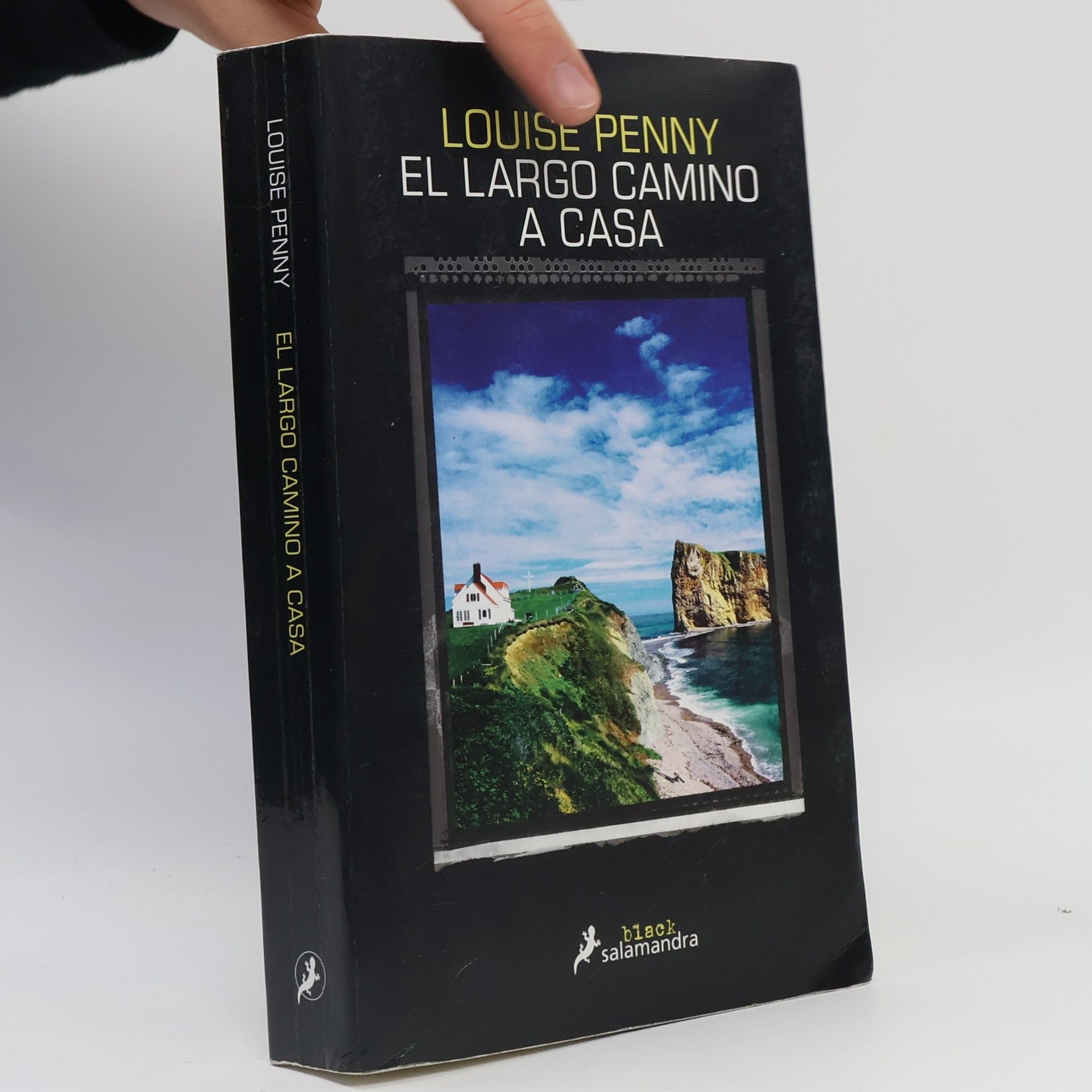 Patricia Antón de Vez Inspector Armand Gamache - 10: El largo camino a casa