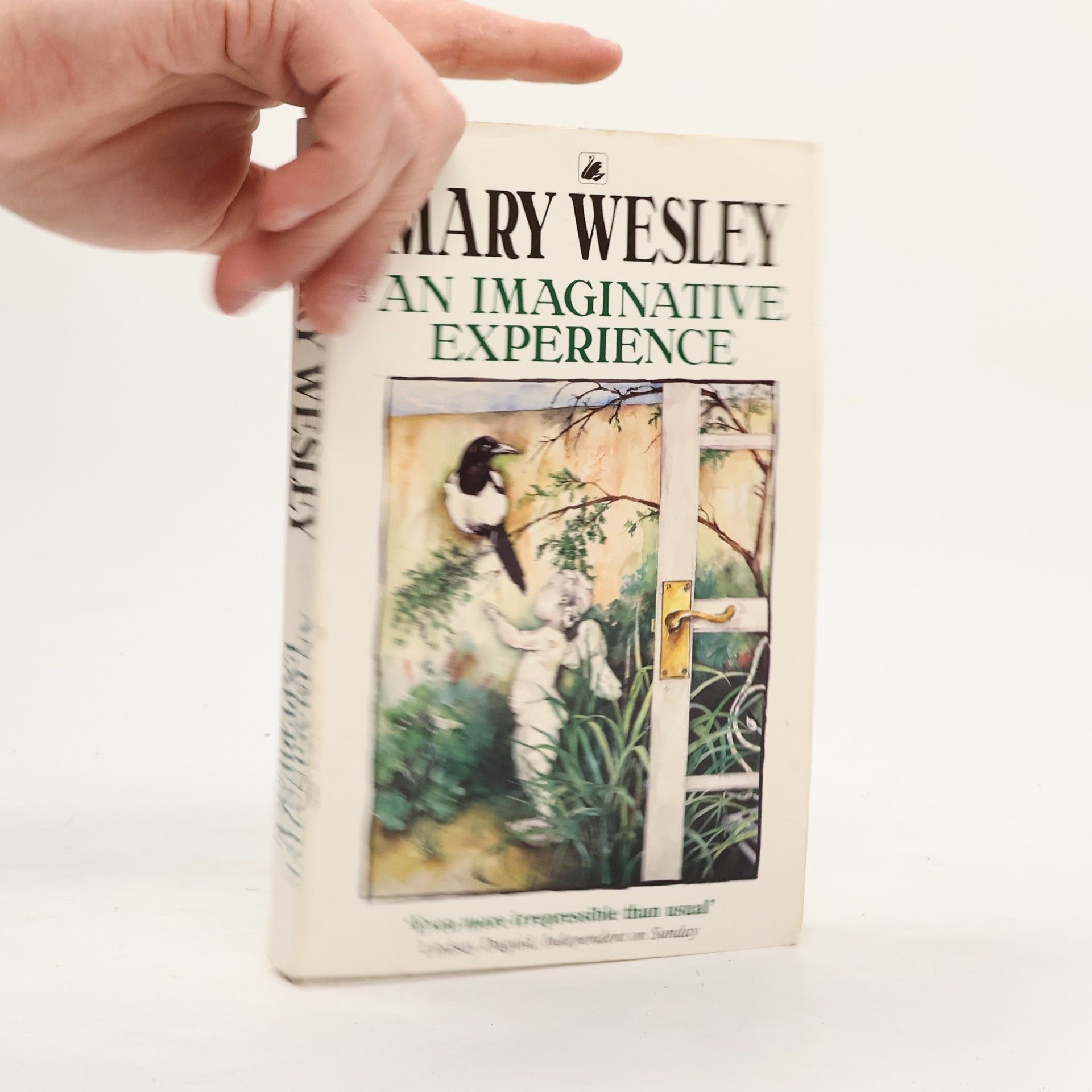 Mary Wesley An Imaginative Experience