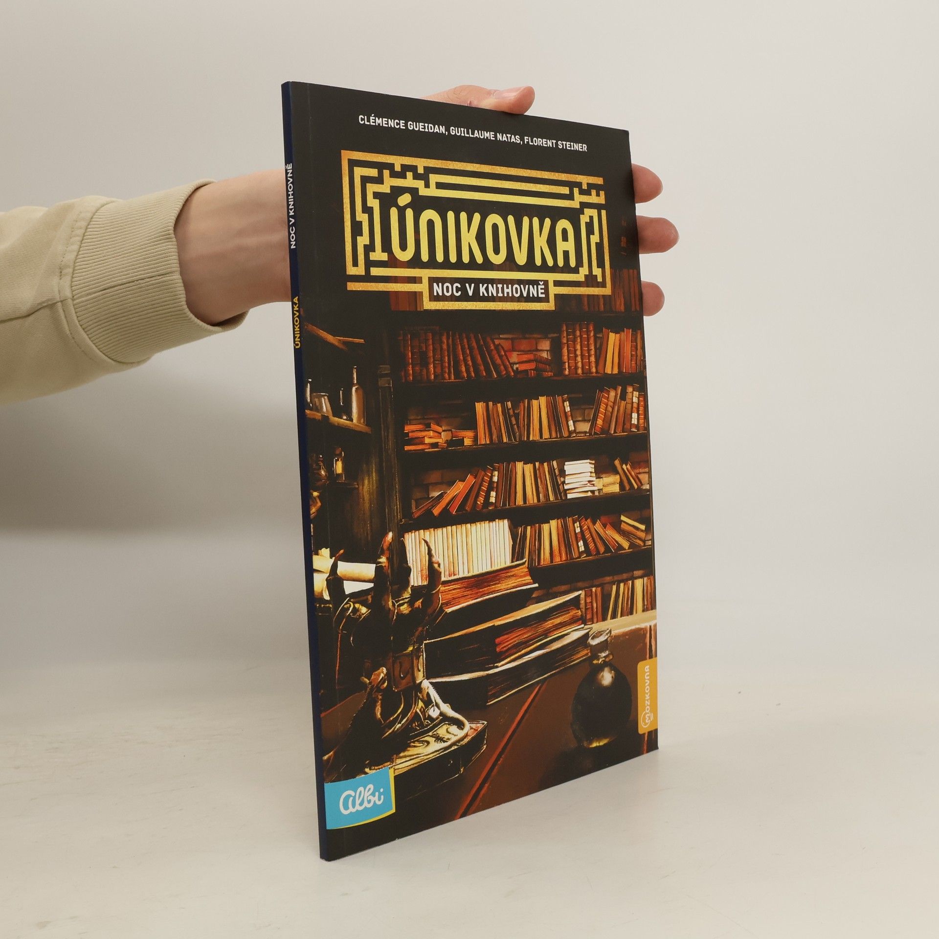 Clémence Gueidan Únikovka. Noc v knihovně