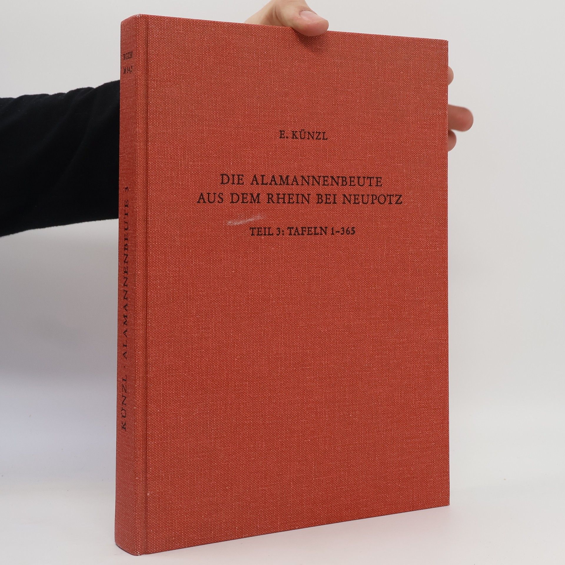 Die Alamannenbeute aus dem Rhein bei Neupotz 3