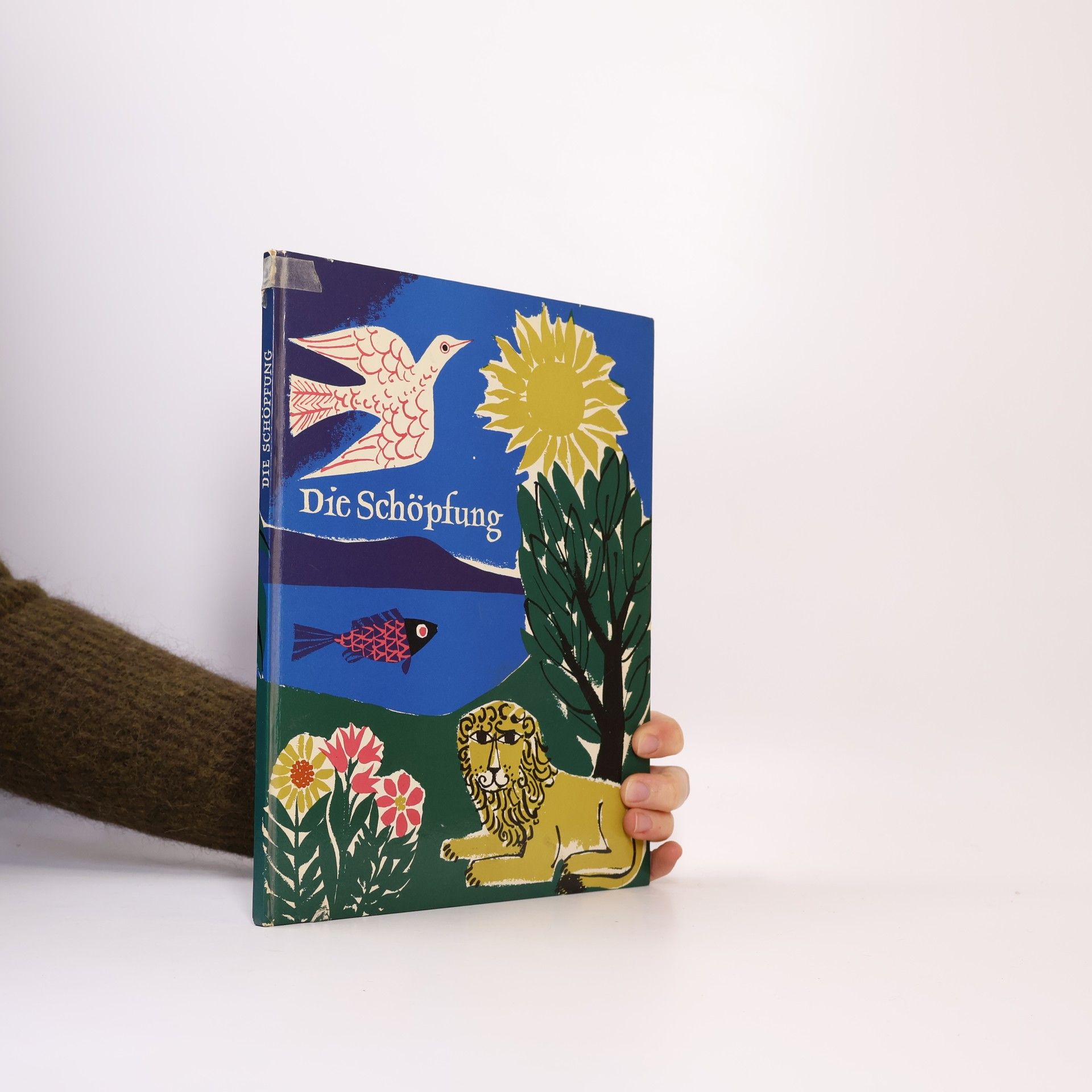 Autorenkollektiv Die Schöpfung