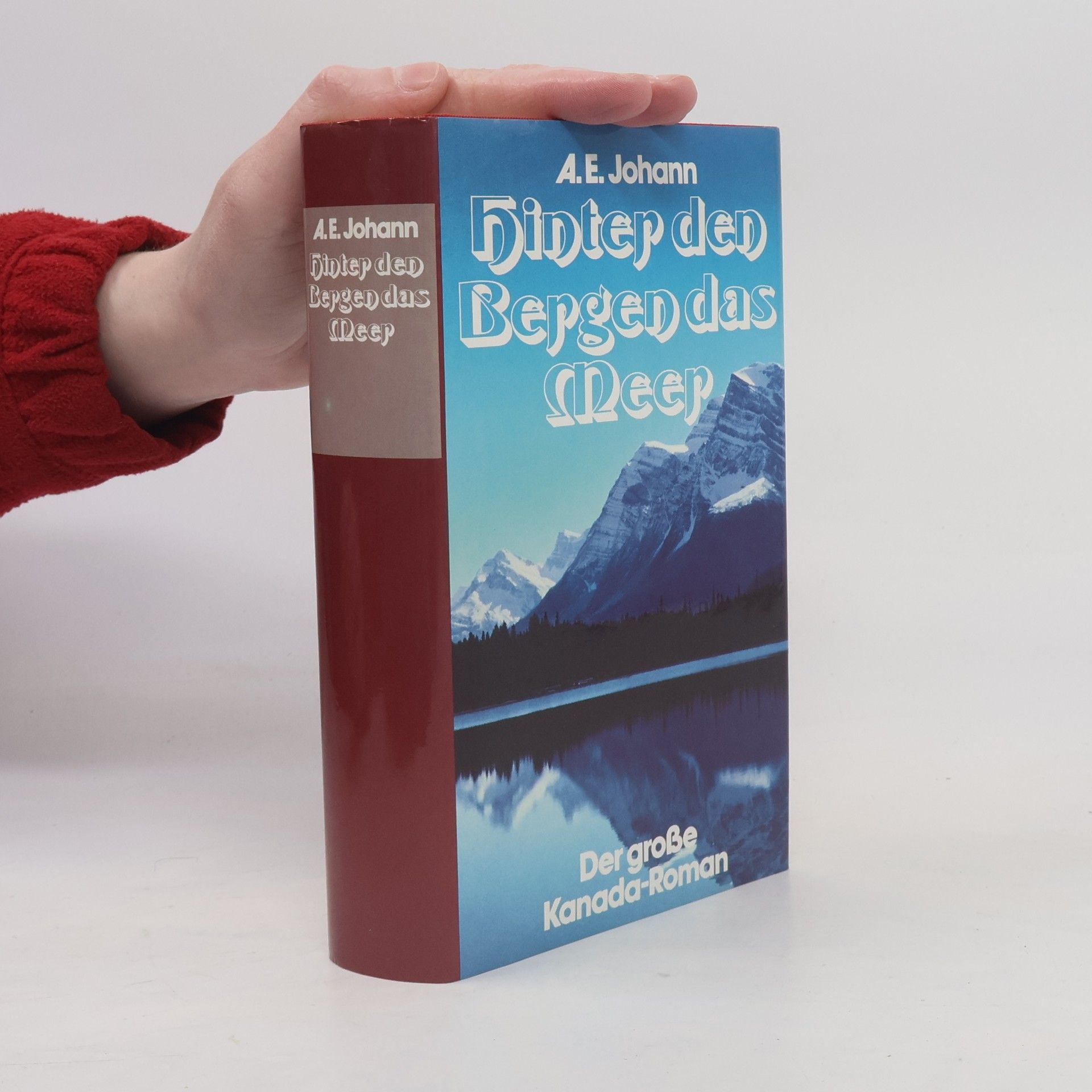 Alfred E. Johann Hinter den Bergen das Meer