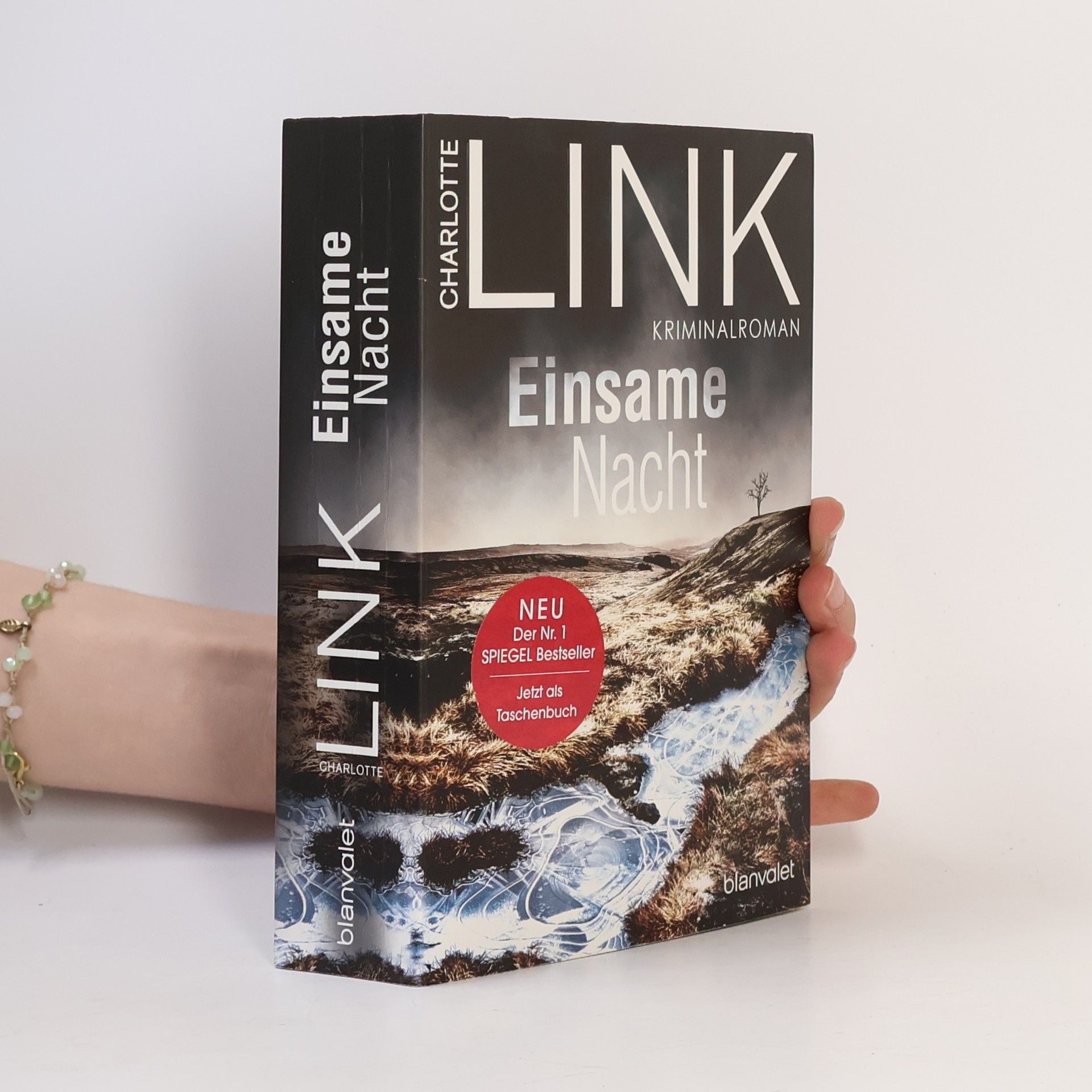 Charlotte Link Einsame Nacht