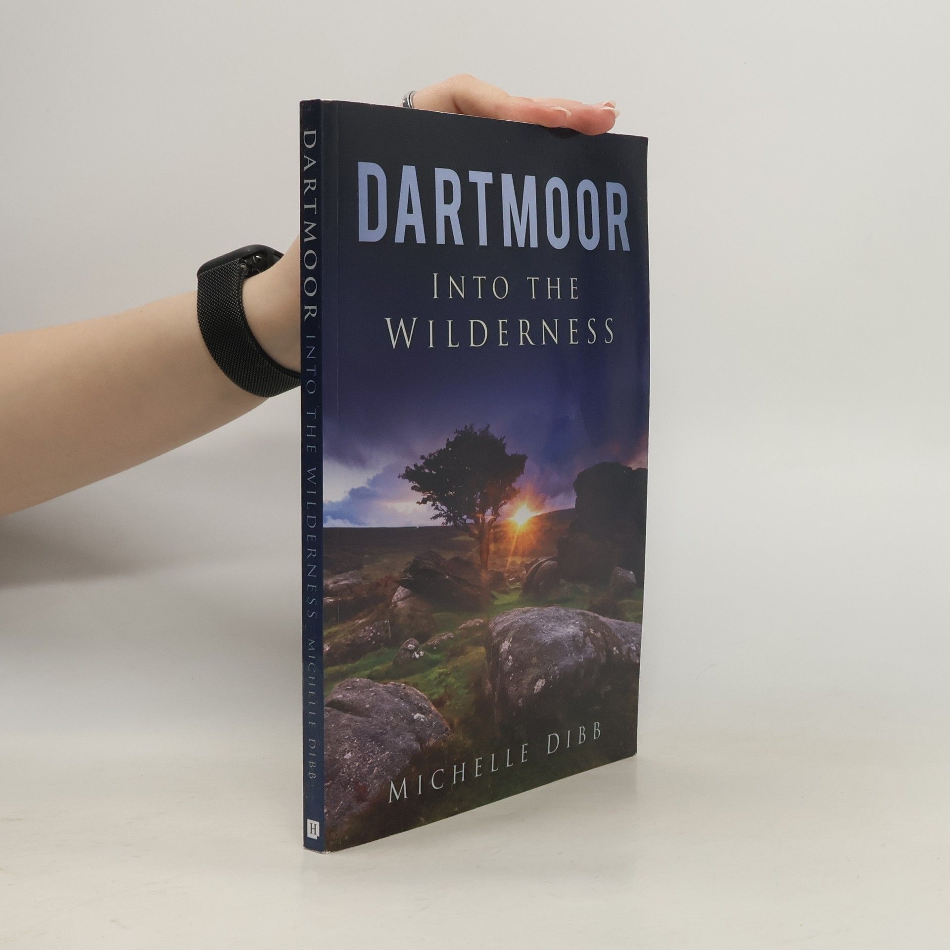 Michelle Dibb Dartmoor