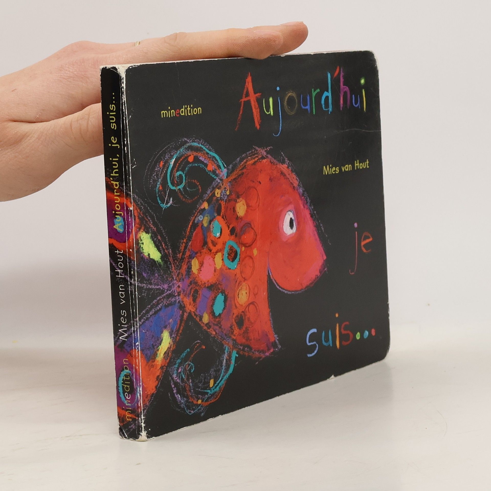 Mies van Hout Aujourd'hui je suis... (édition cartonnée)