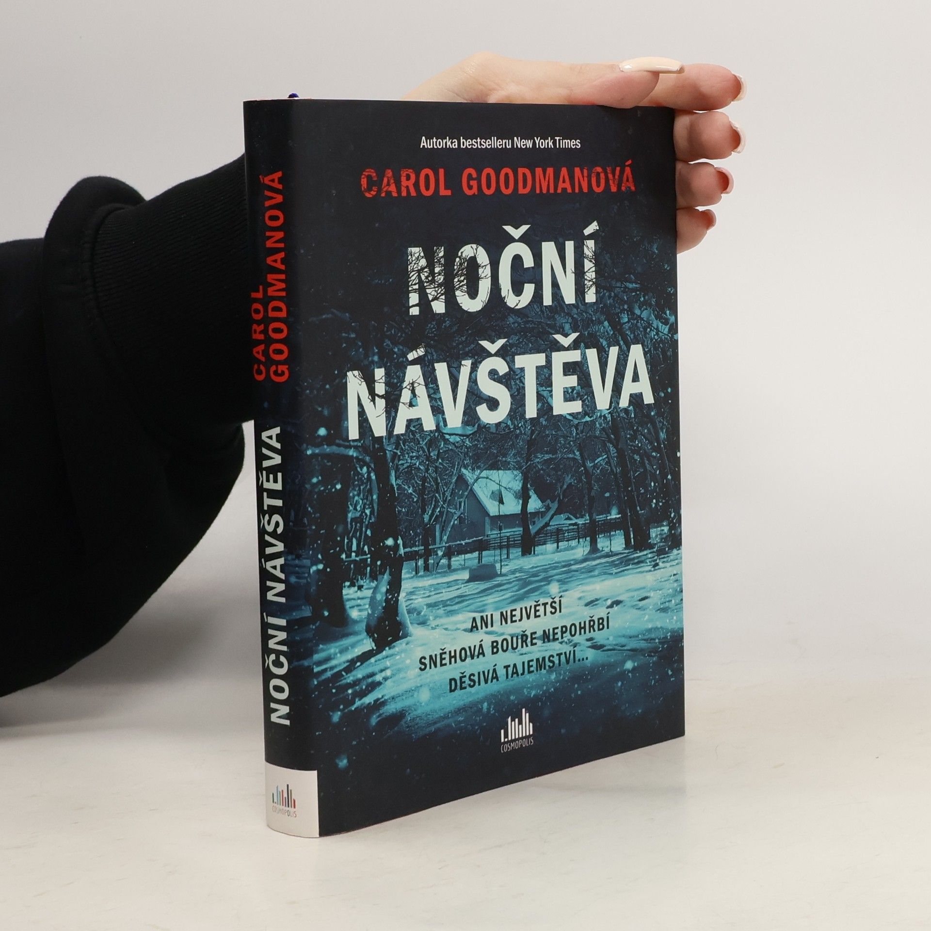 Lee Carroll Noční návštěva