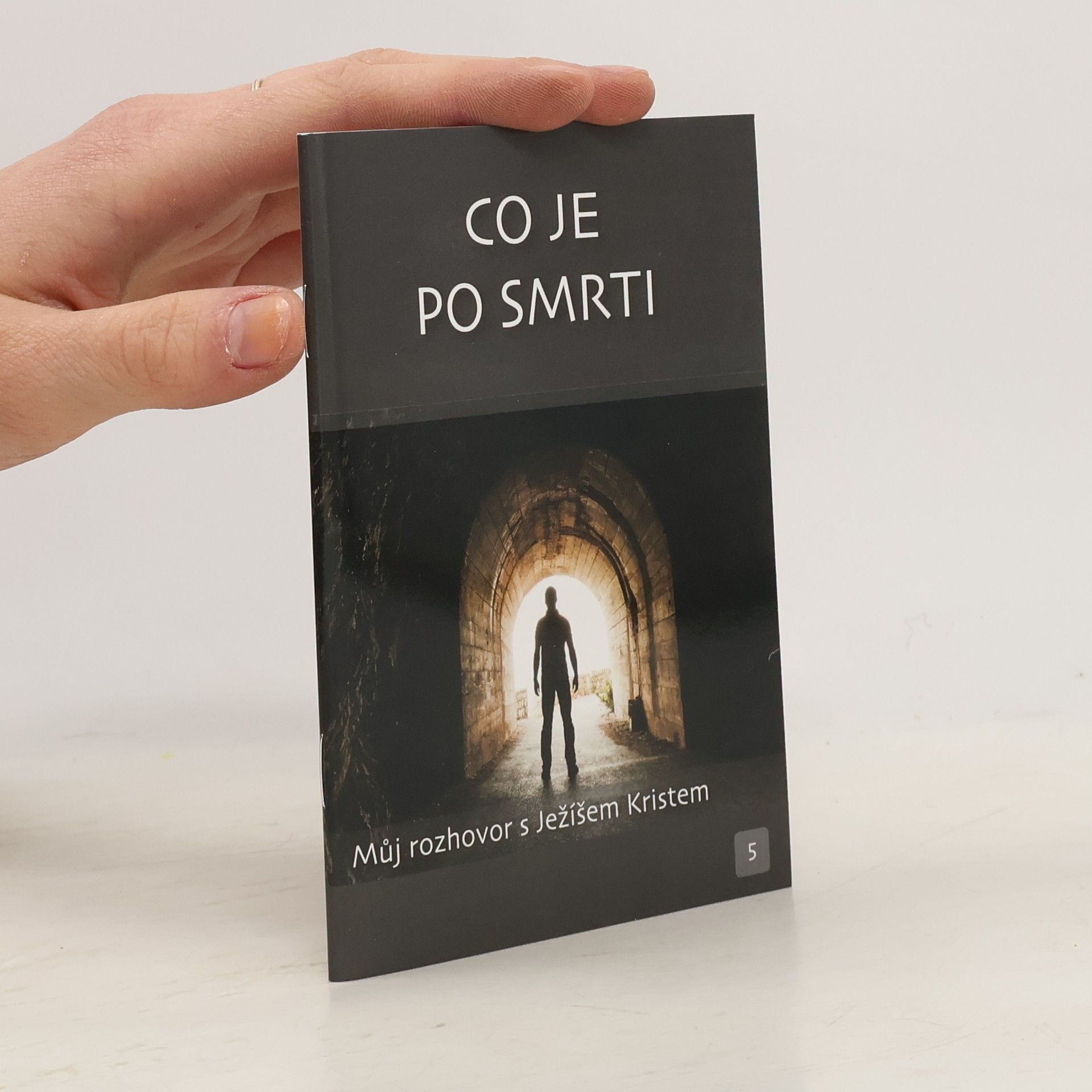 Various authors Můj rozhovor s Ježíšem Kristem: Co je po smrti