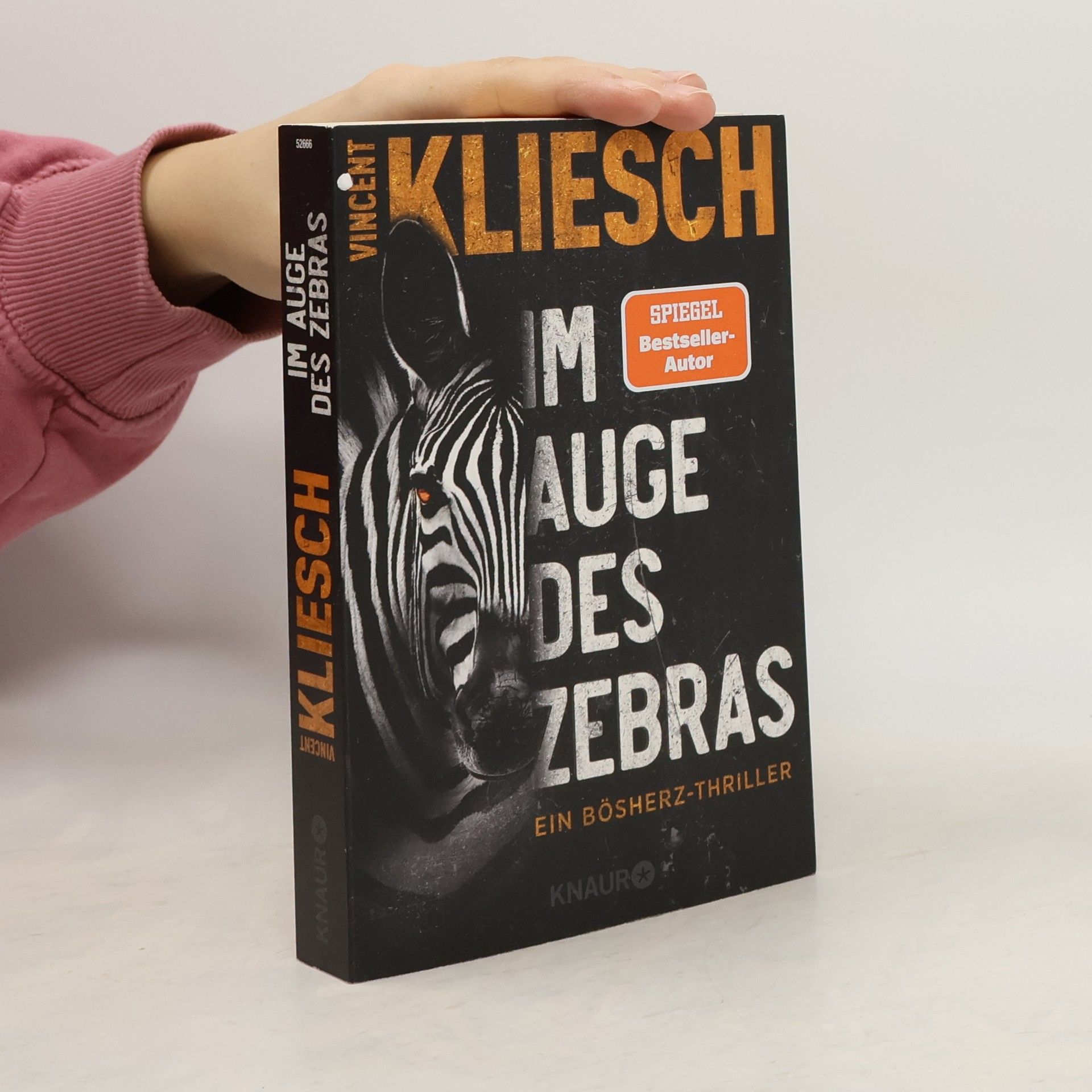 Vincent Kliesch Im Auge des Zebras