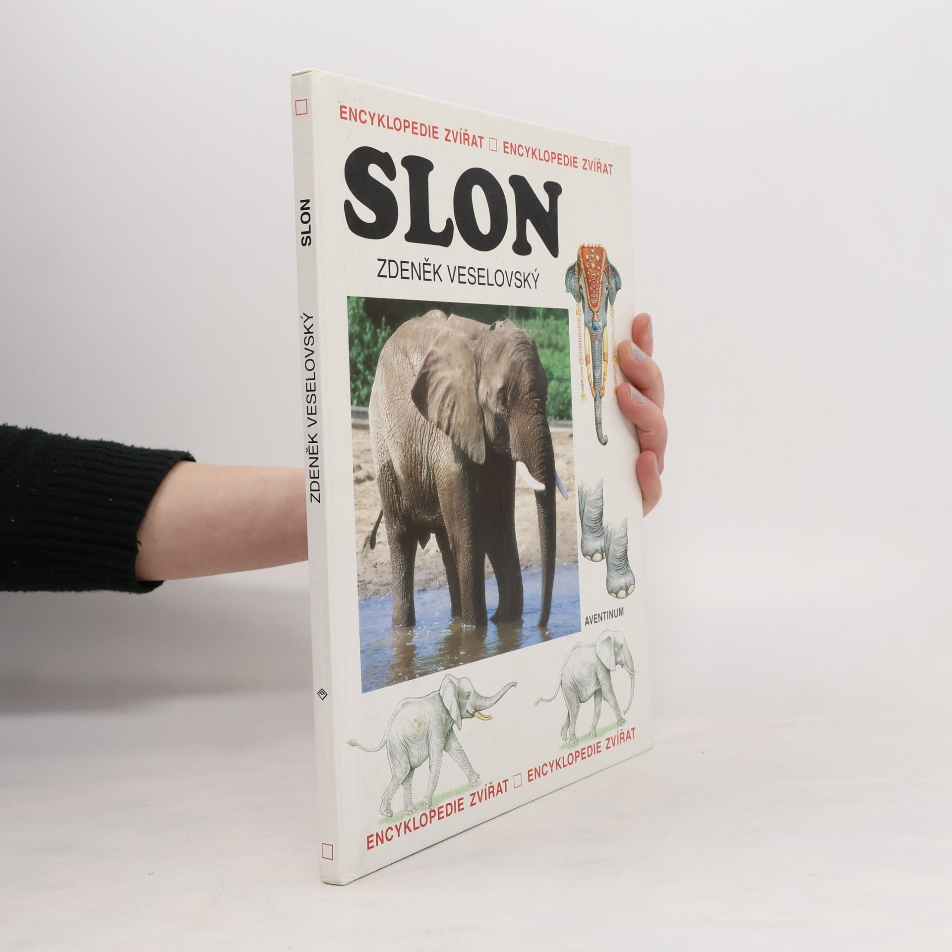 Zdeněk Veselovský Slon