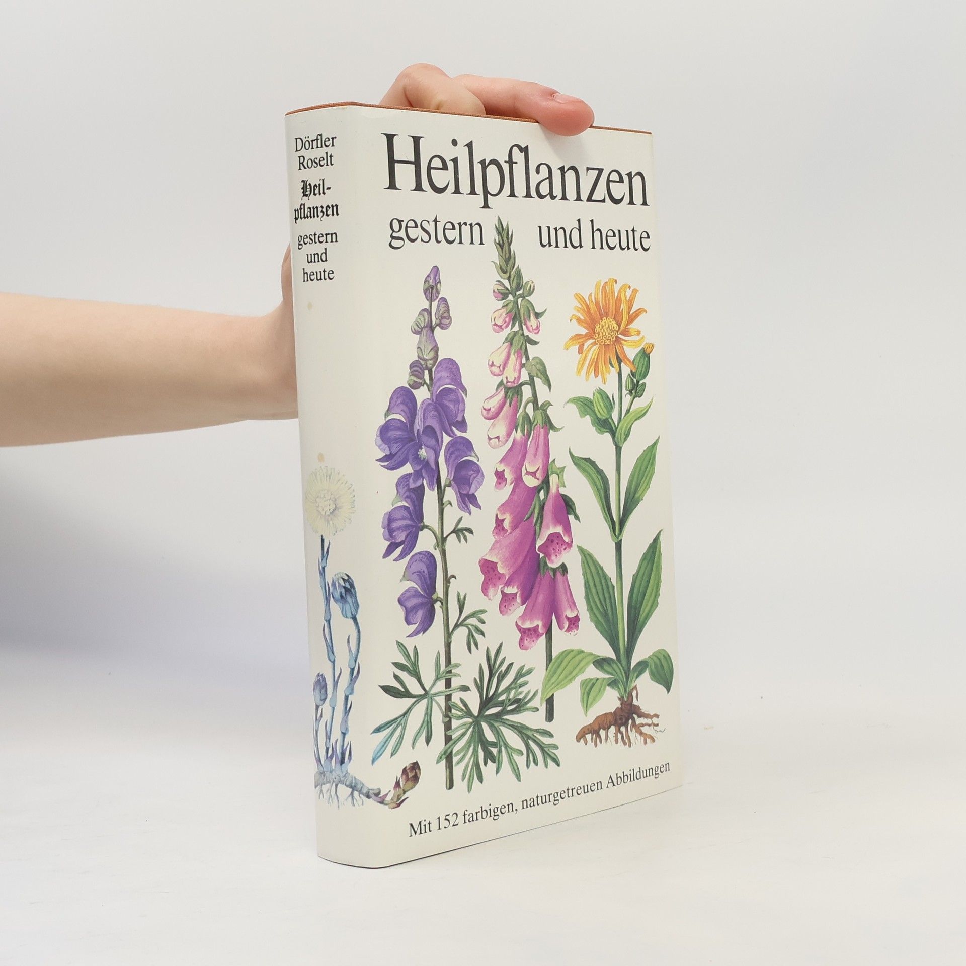 Gerhard Roselt Heilpflanzen gestern und heute
