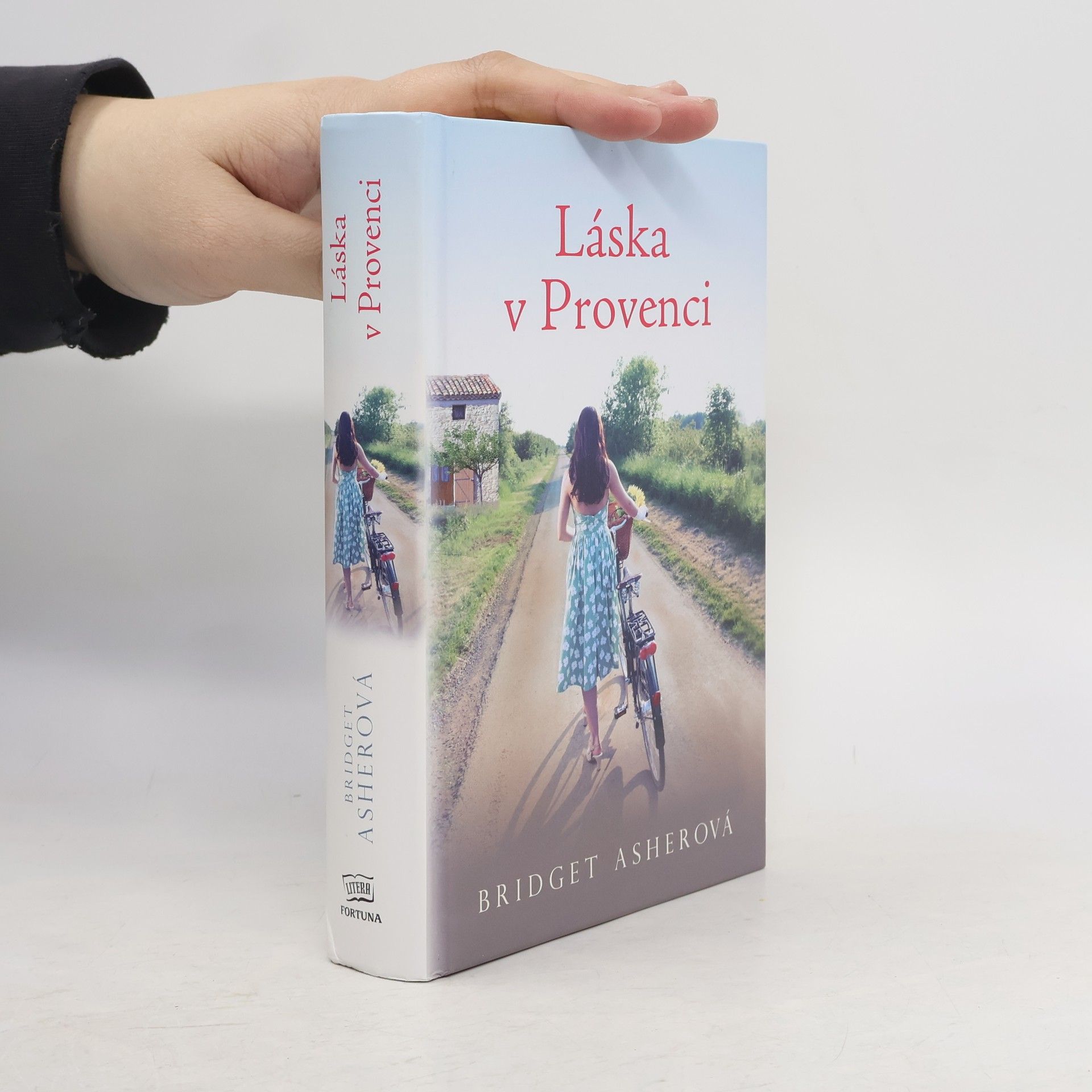 Bridget Asher Láska v Provenci