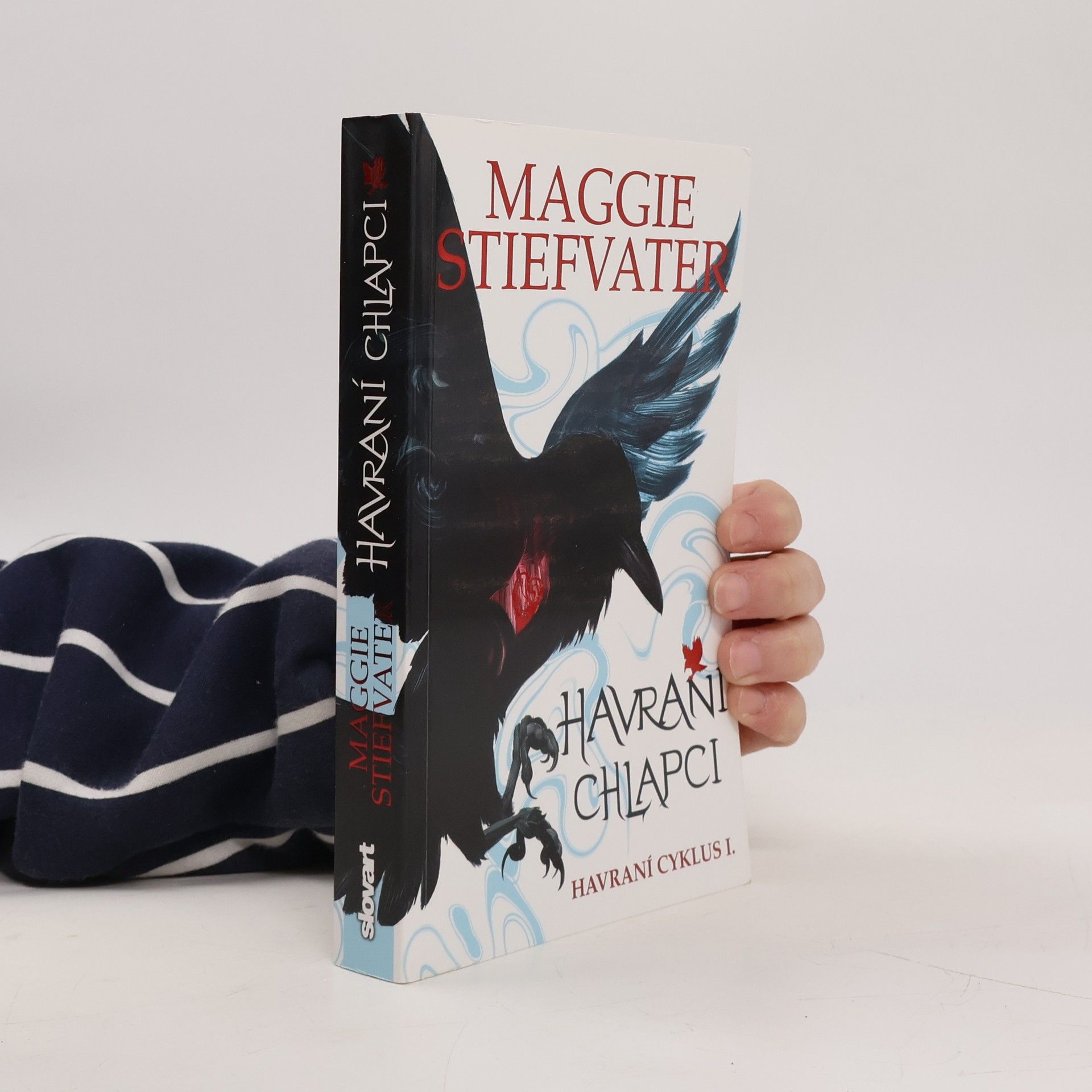 Maggie Stiefvater Havraní chlapci