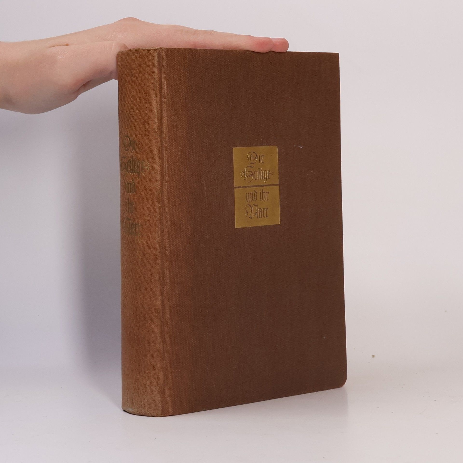 Agnes Günther Die Heilige und ihr Narr 1