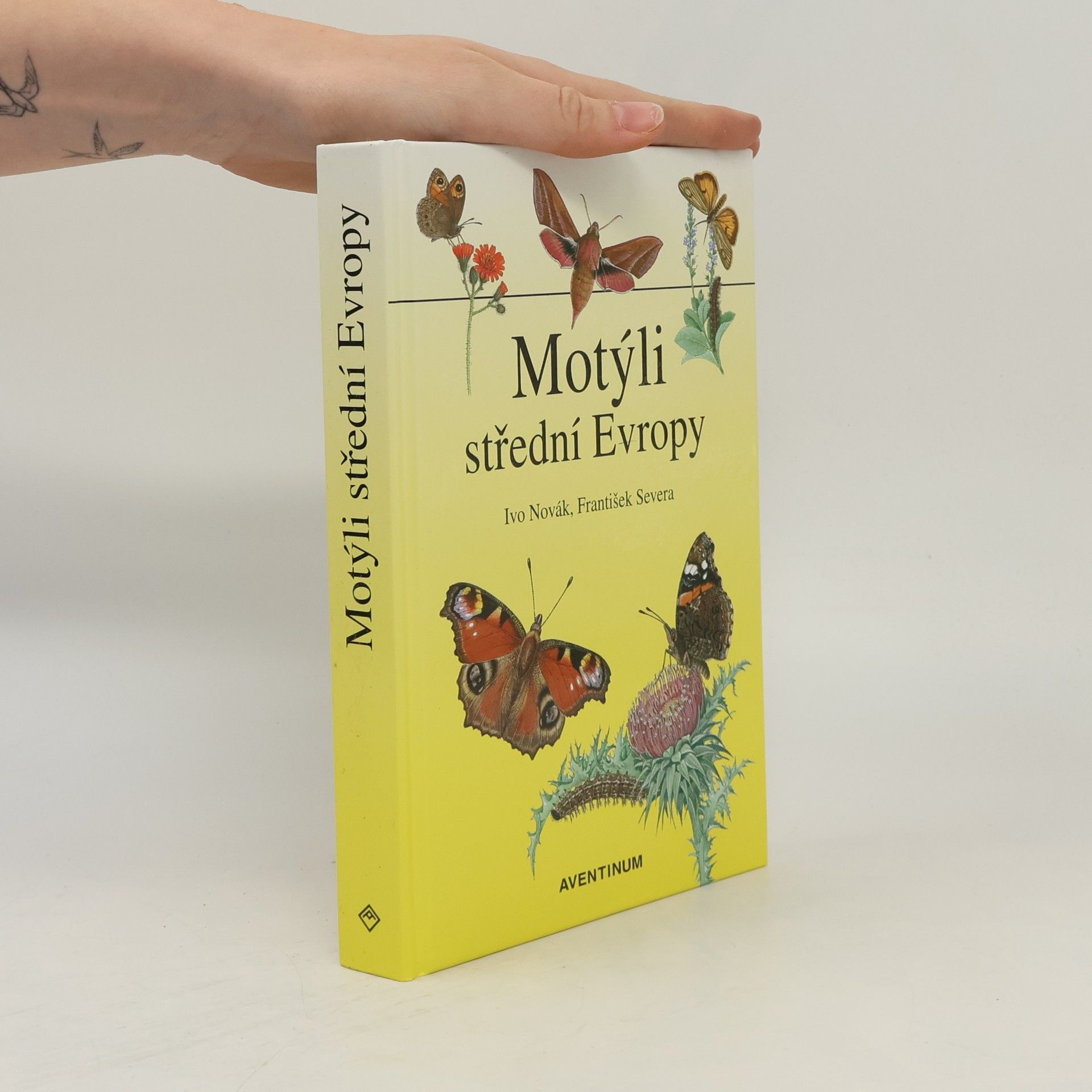 Ivo Novák Motýli střední Evropy