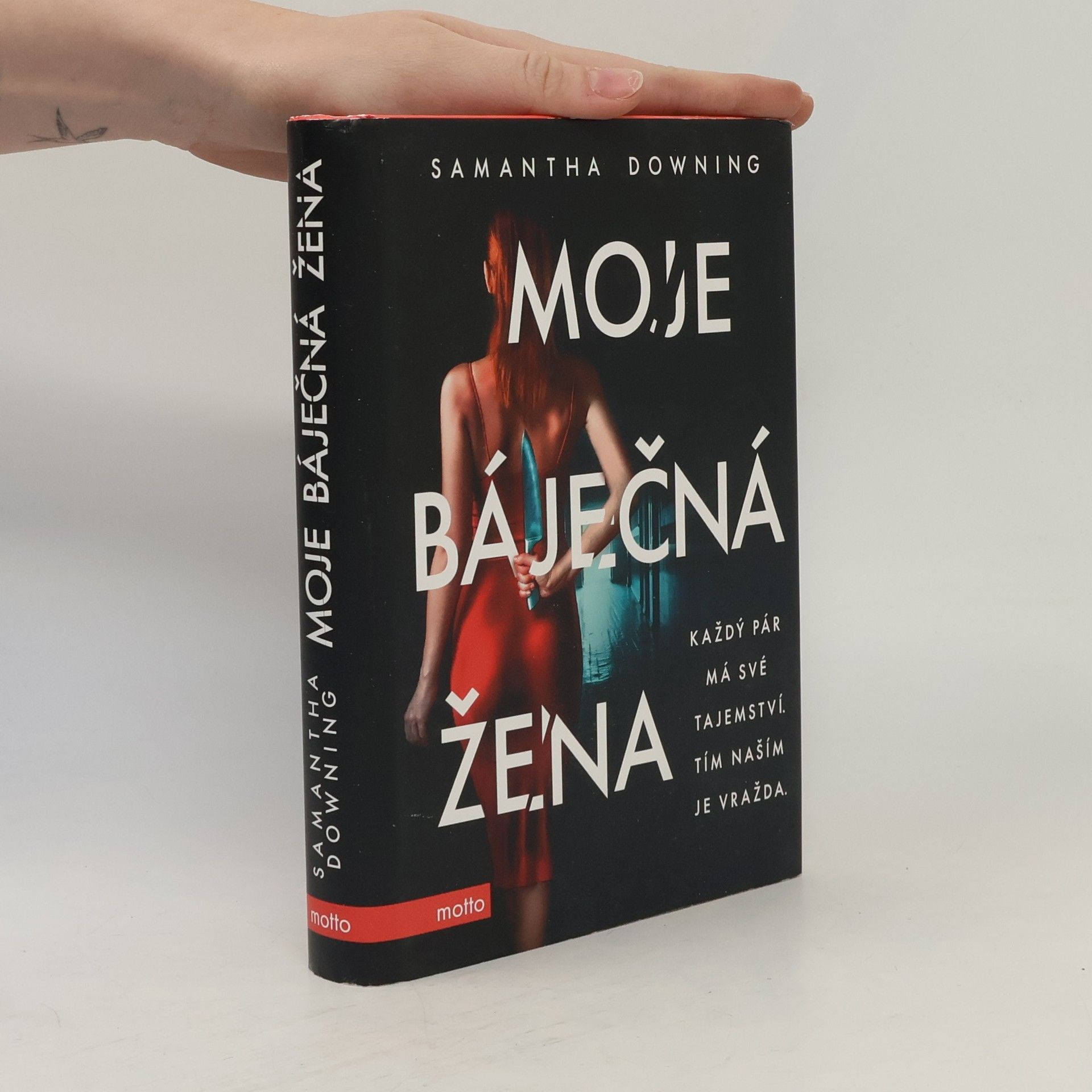 Samantha Downing Moje báječná žena