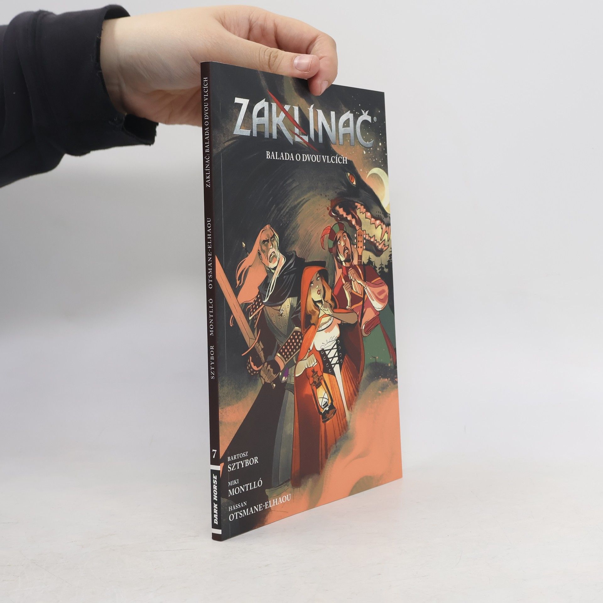 Zaklínač. Balada o dvou vlcích