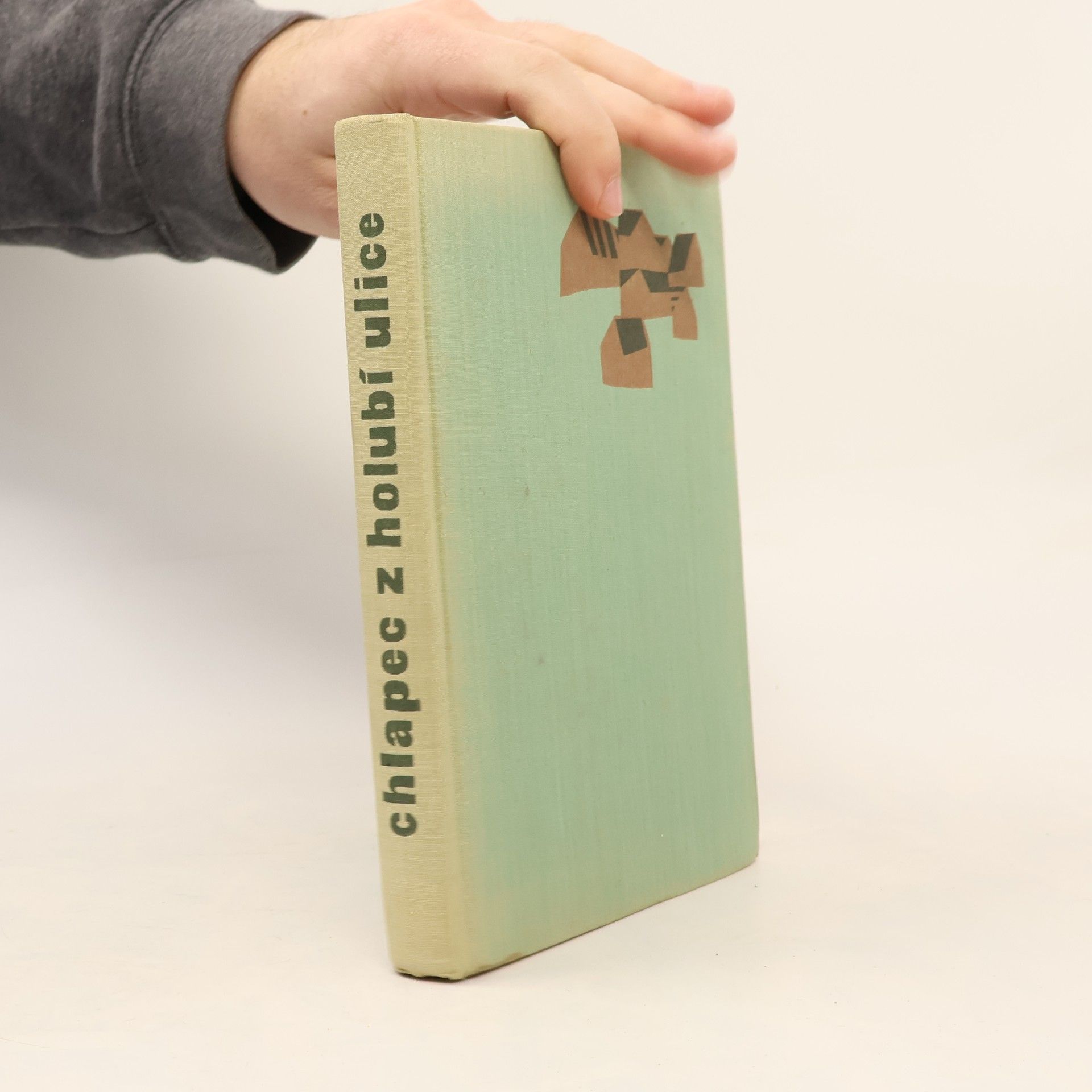 Boris Samojlovič Jampolskij Chlapec z Holubí ulice