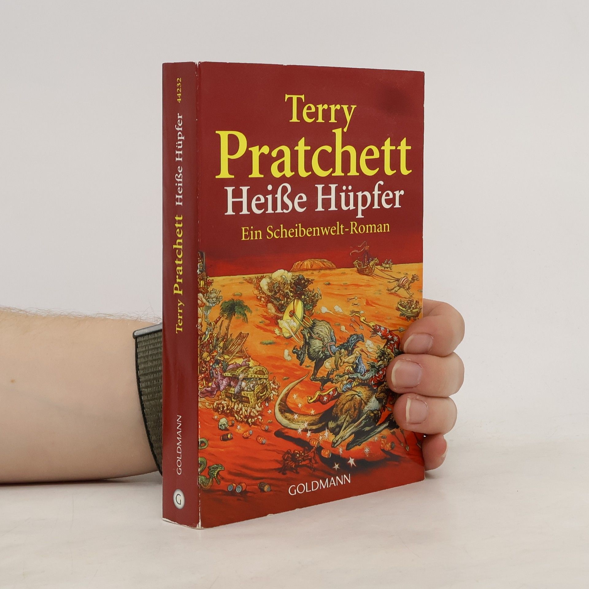 Terry Pratchett Heiße Hüpfer