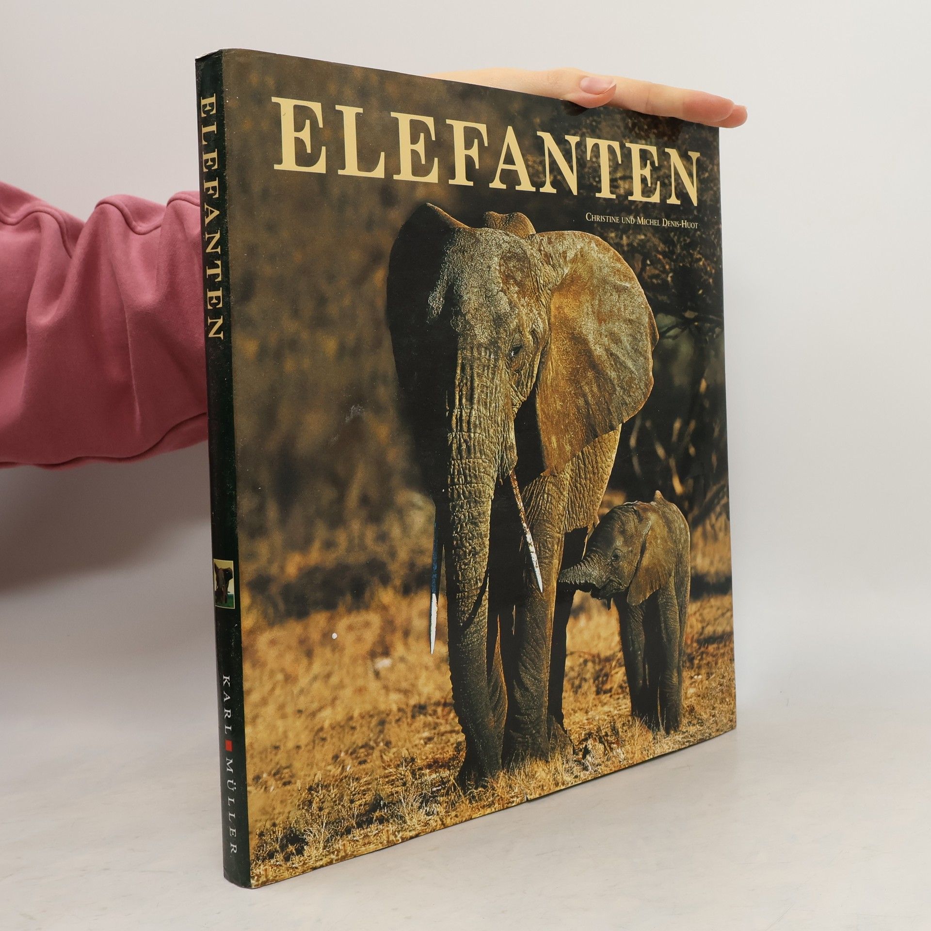 Christine Denis-Huot Elefanten