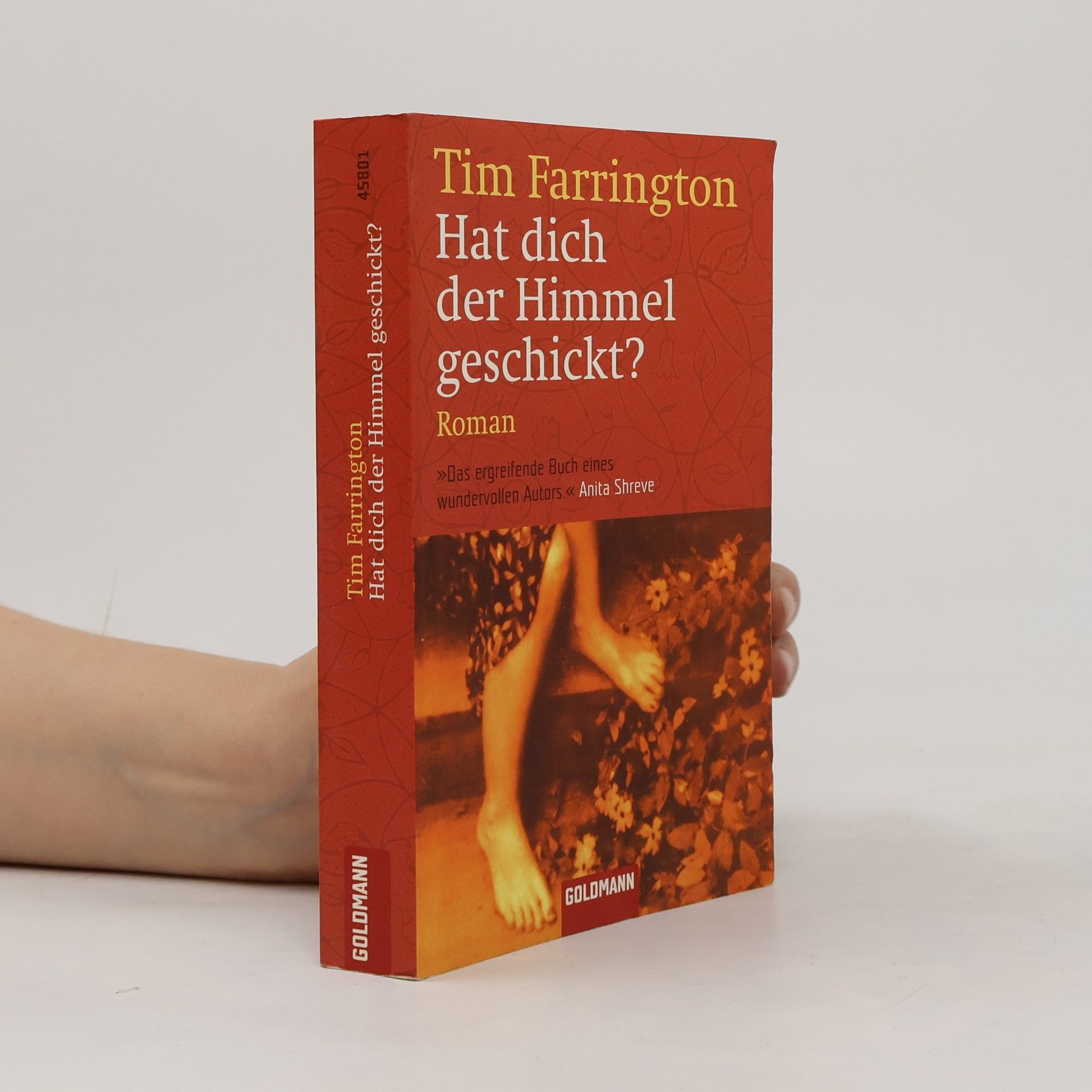 Hat dich der Himmel geschickt?