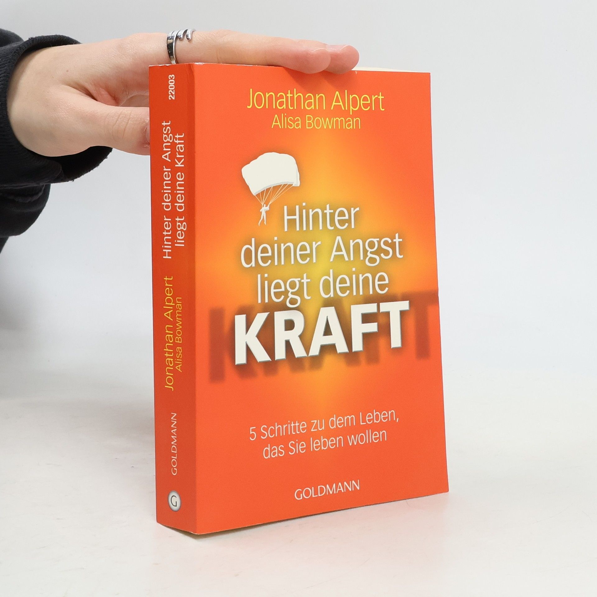 Jonathan Boyd Alpert Hinter deiner Angst liegt deine Kraft