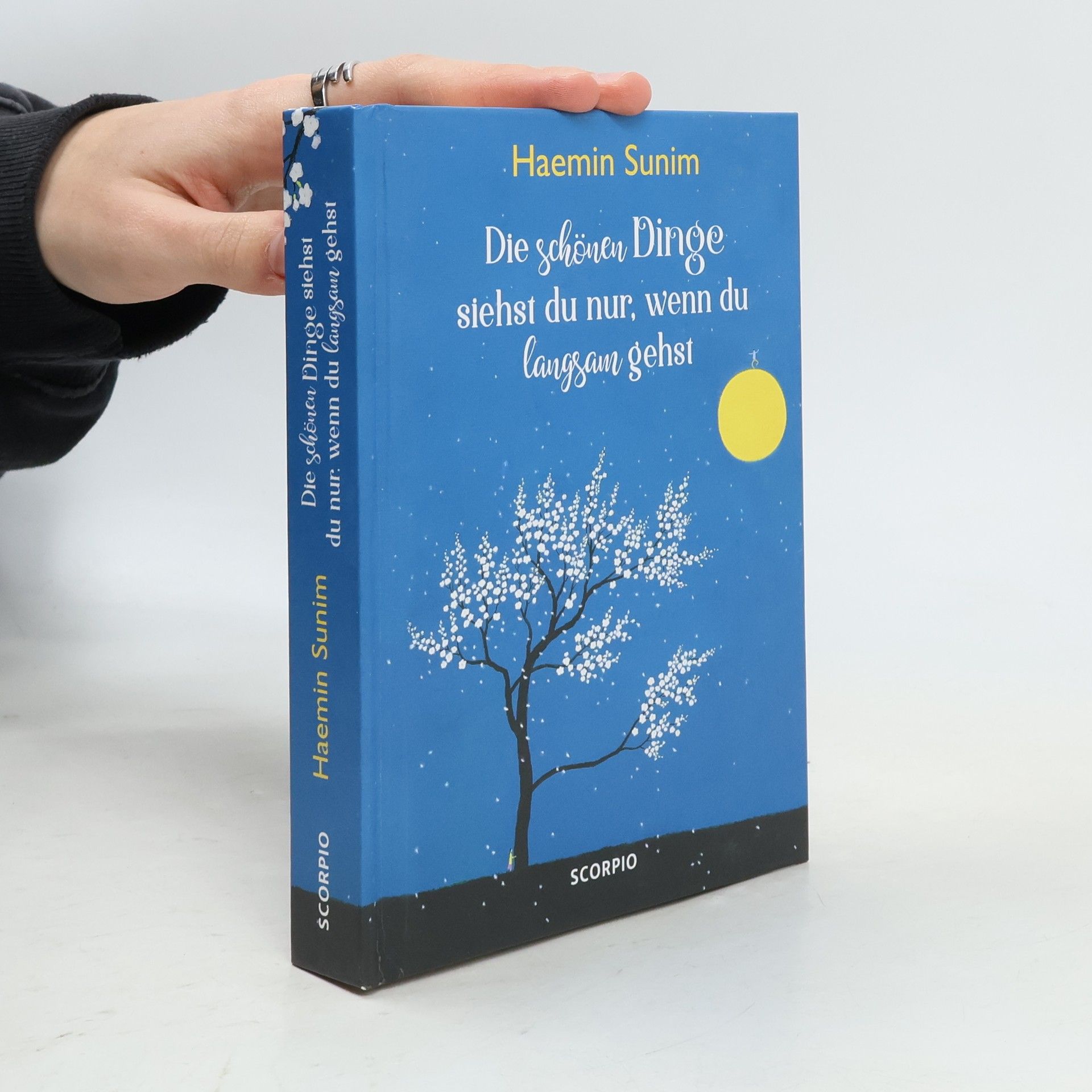 Haemin Die schönen Dinge siehst du nur, wenn du langsam gehst